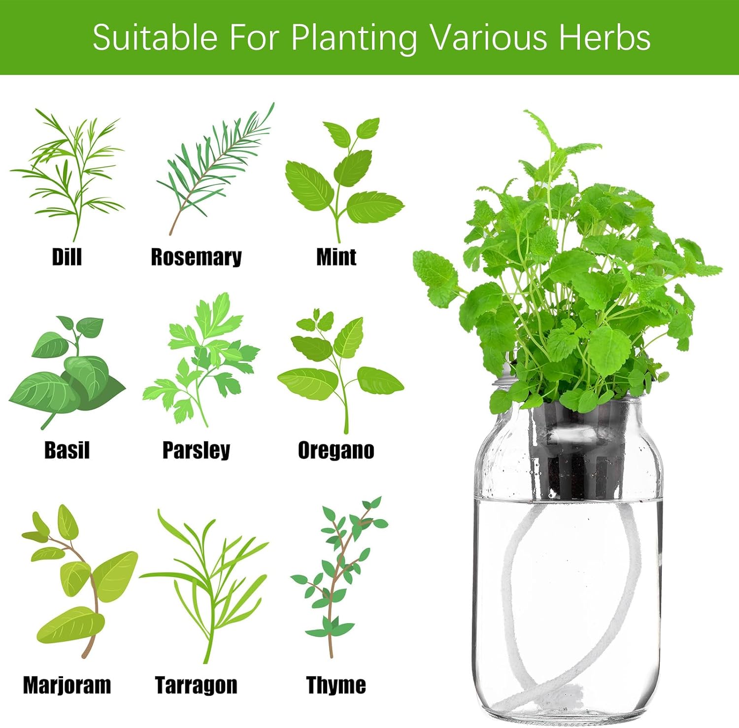 6 Set Hydroponic Herb Garden Planter Indoor Kit, Include 6 Self Watering Mason Jars 6 Planting Baskets 6 Pre Sown Growth Plugs and 6 Absorbent Cores Herb Growing Kit for Practical Gardening