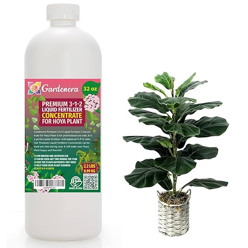 Gardenera - Fertilizante líquido prémium para plantas de Hoya, concentrado 3-1-2 para plantas y flores de interior, alimento orgánico para plantas