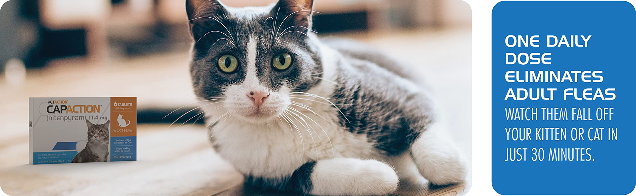 oral flea control for cats