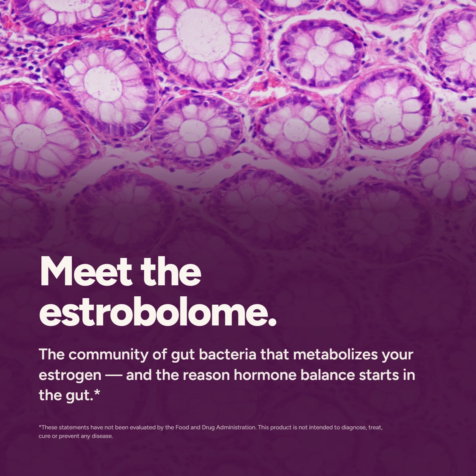 Daily Nouri Hormone Balance Probiotics for Women | Estrogen + Cycle Support — Amazon image 4