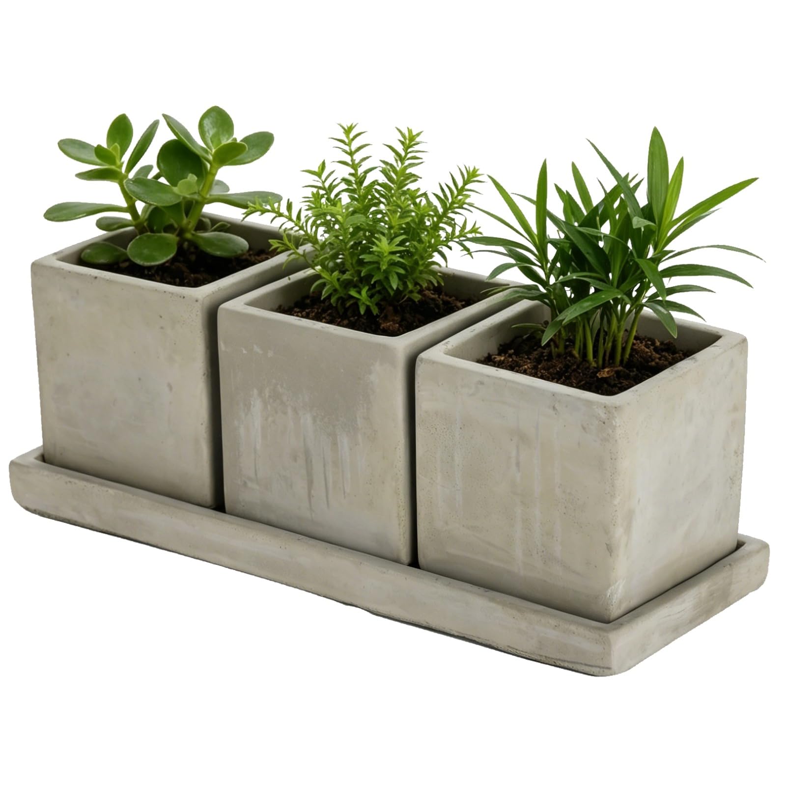 COSYOO Herb Garden Planter Indoor, 3 Pcs Cement Plant Pots with Drainage Holes and Tray, Modern Windowsill Containers for Succulents, Cactus, Flowers, Kitchen and Balcony Decor