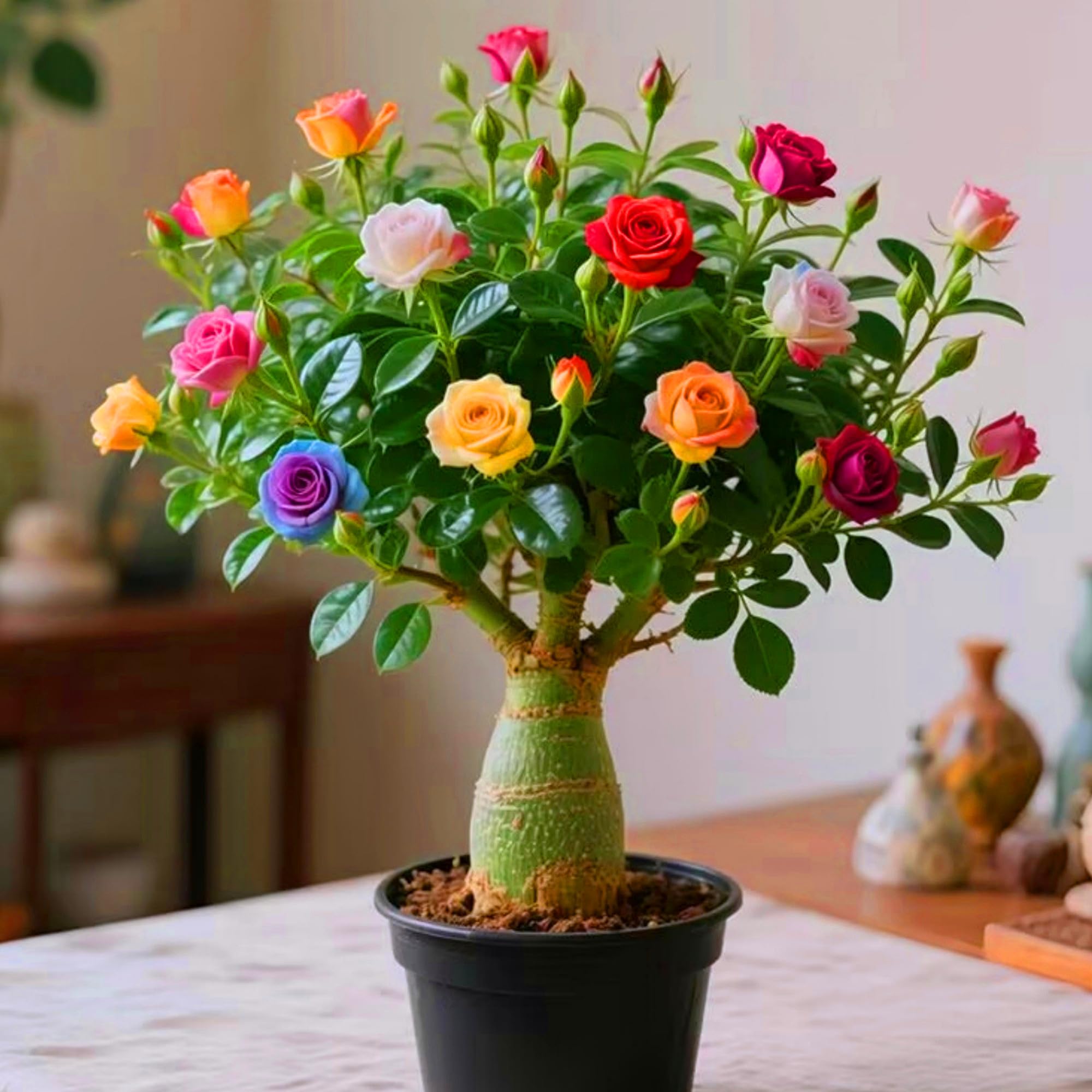 Exotic Desert Rose Plant Bulbs – Vibrant Adenium for Home Décor, Patio Display and Easy Garden Growing,Hardy Perennial, Excellent Display-3bulbs-V