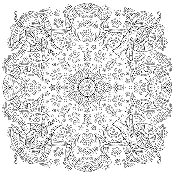 塗り絵・カリカチュア my personal coloring book Amazon.com: My Coloring Book: My Dream Room(Watashi no Nurie