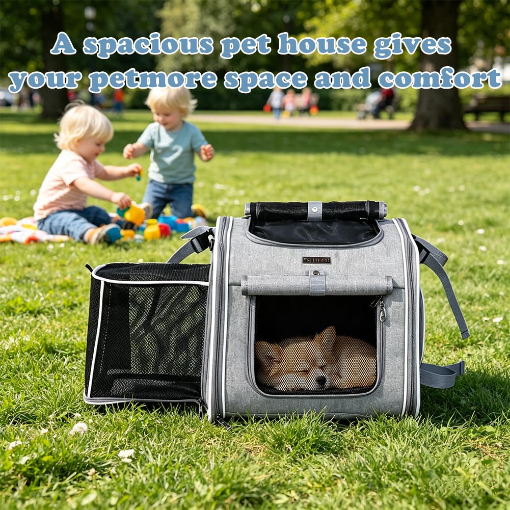 Panier de vélo avant pour chien extensible et pliable avec 4 portes et fenêtres en maille, jusqu'à 10 kg