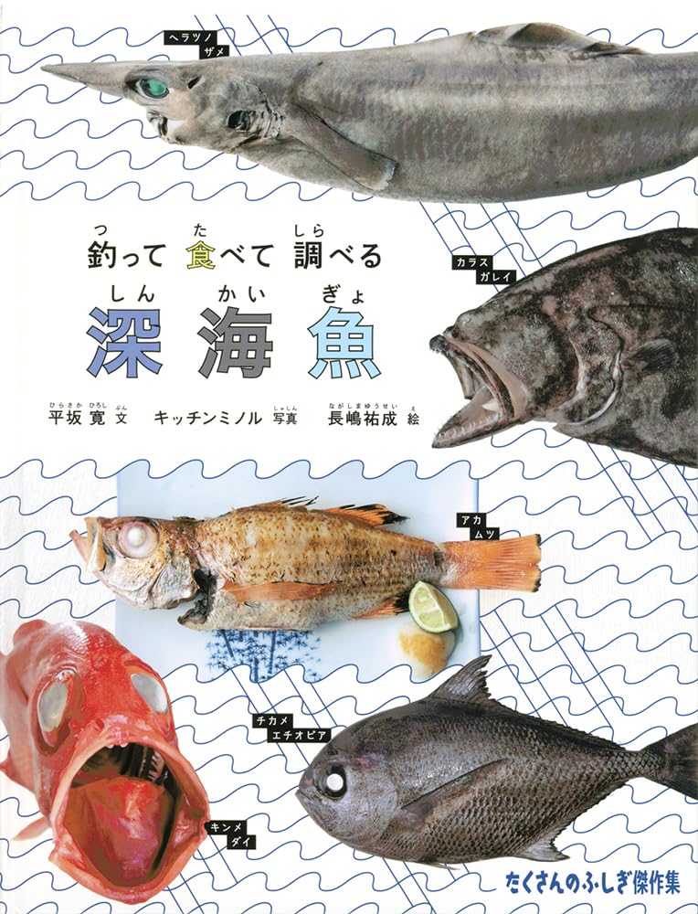 Amazon.co.jp: 釣って 食べて 調べる 深海魚 (たくさんのふしぎ傑作集
