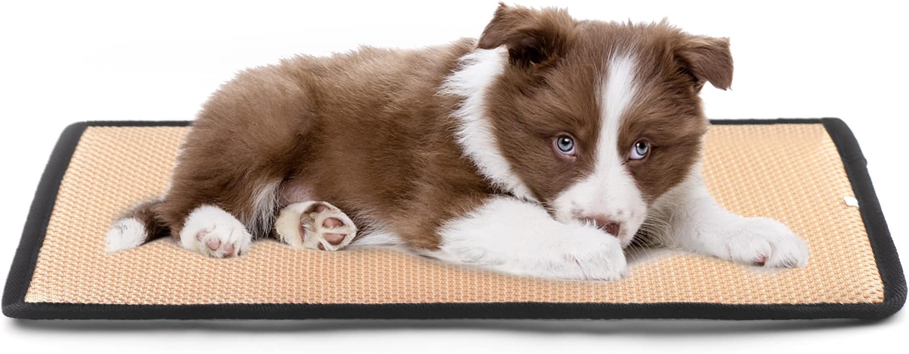 Cooling Mat for Dog Crate Mat, Pet Create Pad, Soft Dog Bed, Anit Bedsore Pet Create Mat for Large Dog Sleeping Outdoor Dog Bed, Breathable Pet Cooling Medical Pad for Dog and Cat (M)