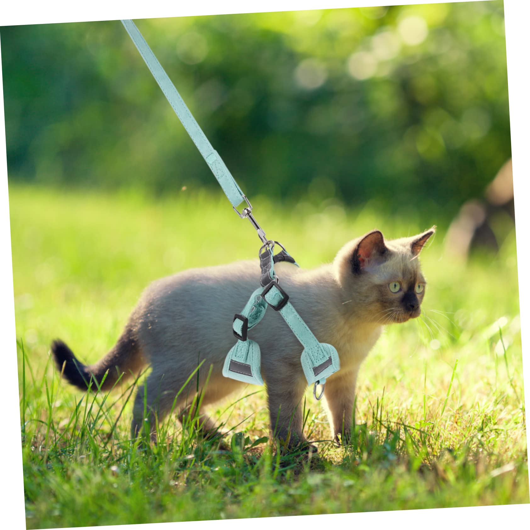 GANAZONO Reflective Traction Rope Cat Harness 1.2m Leash Set Soft Vest Kit Adjustable Pet Supplies