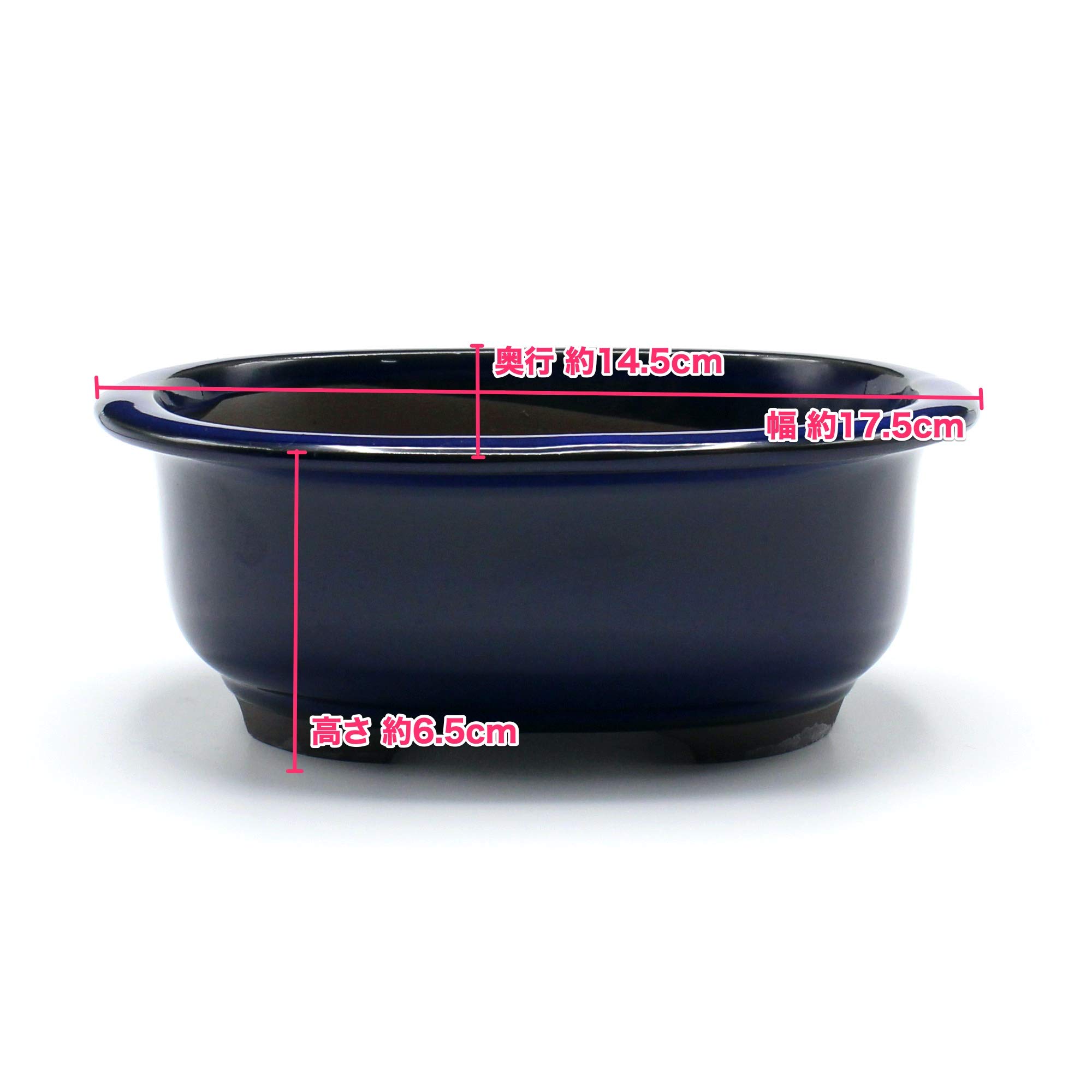 Amazon.co.jp: うめきち盆栽用品店 盆栽鉢 6号 小判エン付鉢 青色 海鼠