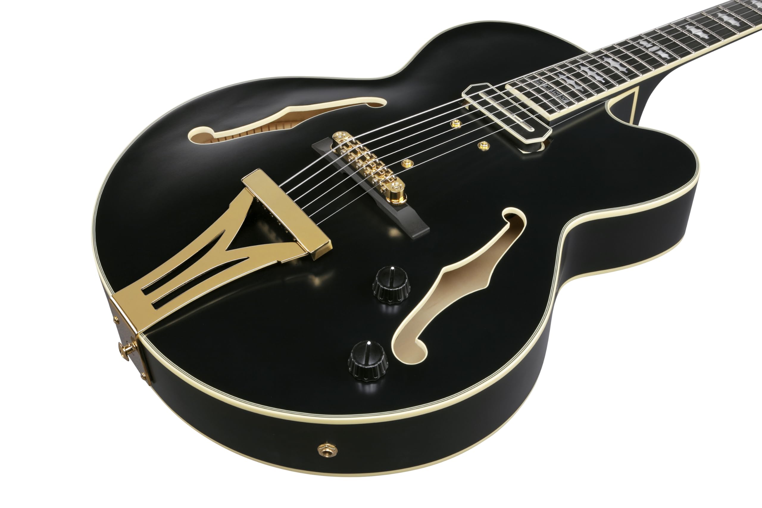 Amazon | Ibanez / Pat Metheny New Signature Model PM3C-BKL (Black