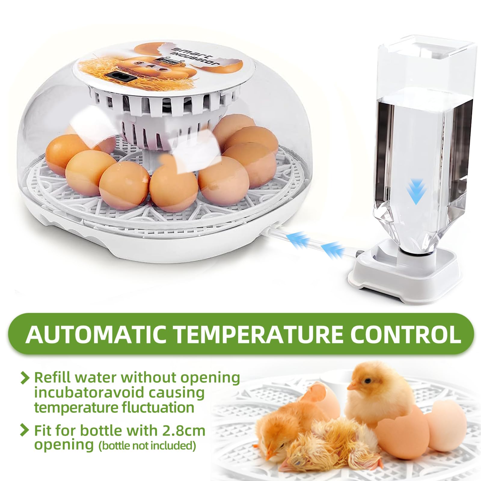 YJDayy Incubators for Hatching Eggs 12-24 Eggs Incubator with Automatic Egg Turning and Humidity Temperature Control Small Poultry Incubator for Hatching Chicken Quail Duck Bird Eggs
