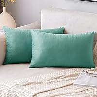 Vista 164 de EMEMA Paquete de 2 fundas de almohada de terciopelo, decorativas, cuadradas, suaves, sólidas, para sofá, dormitorio, silla o automóvil, 18 x 18 Gris