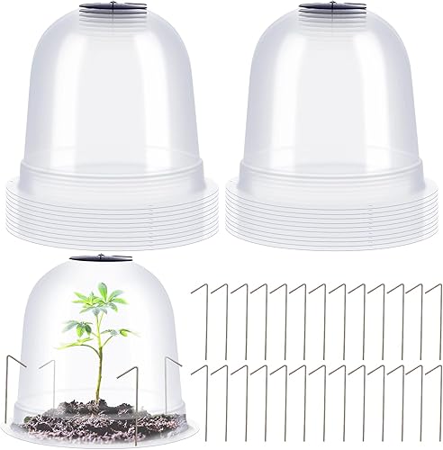 20 unidades de cúpula pequeña para plantas de jardín, 7.68 pulgadas de diámetro x 6.7 pulgadas de alto, reutilizable, grueso, protector de plantas