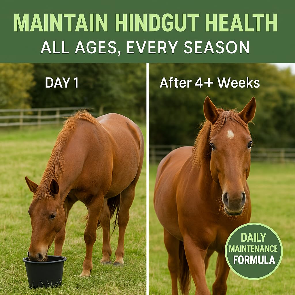 Freestep GastroFree Daily Horse Gut Balancer, Black, 500g | 4 Month Supply - Image 3