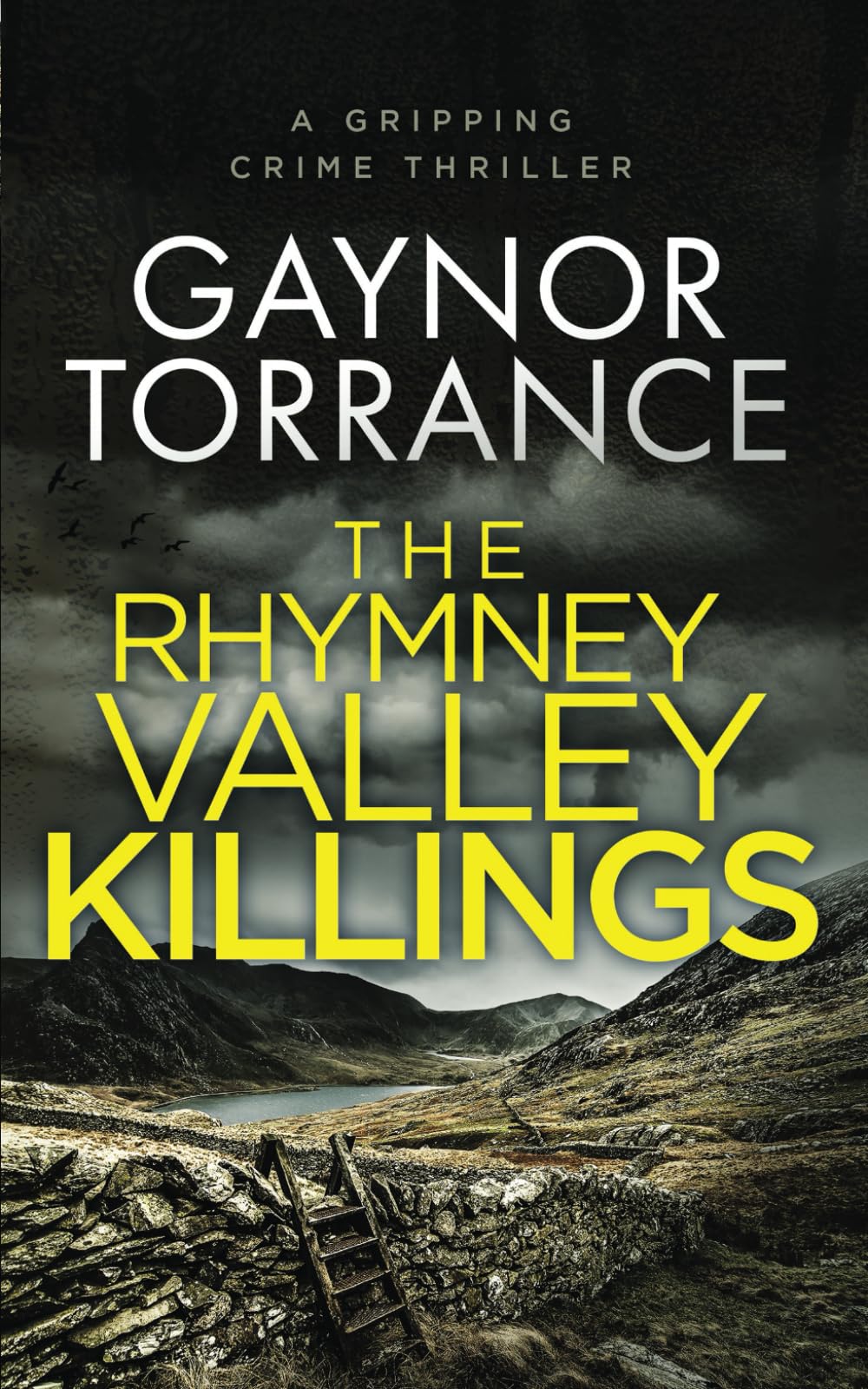 THE RHYMNEY VALLEY KILLINGS a gripping crime thriller (DI Jemima Huxley Crime Thriller)