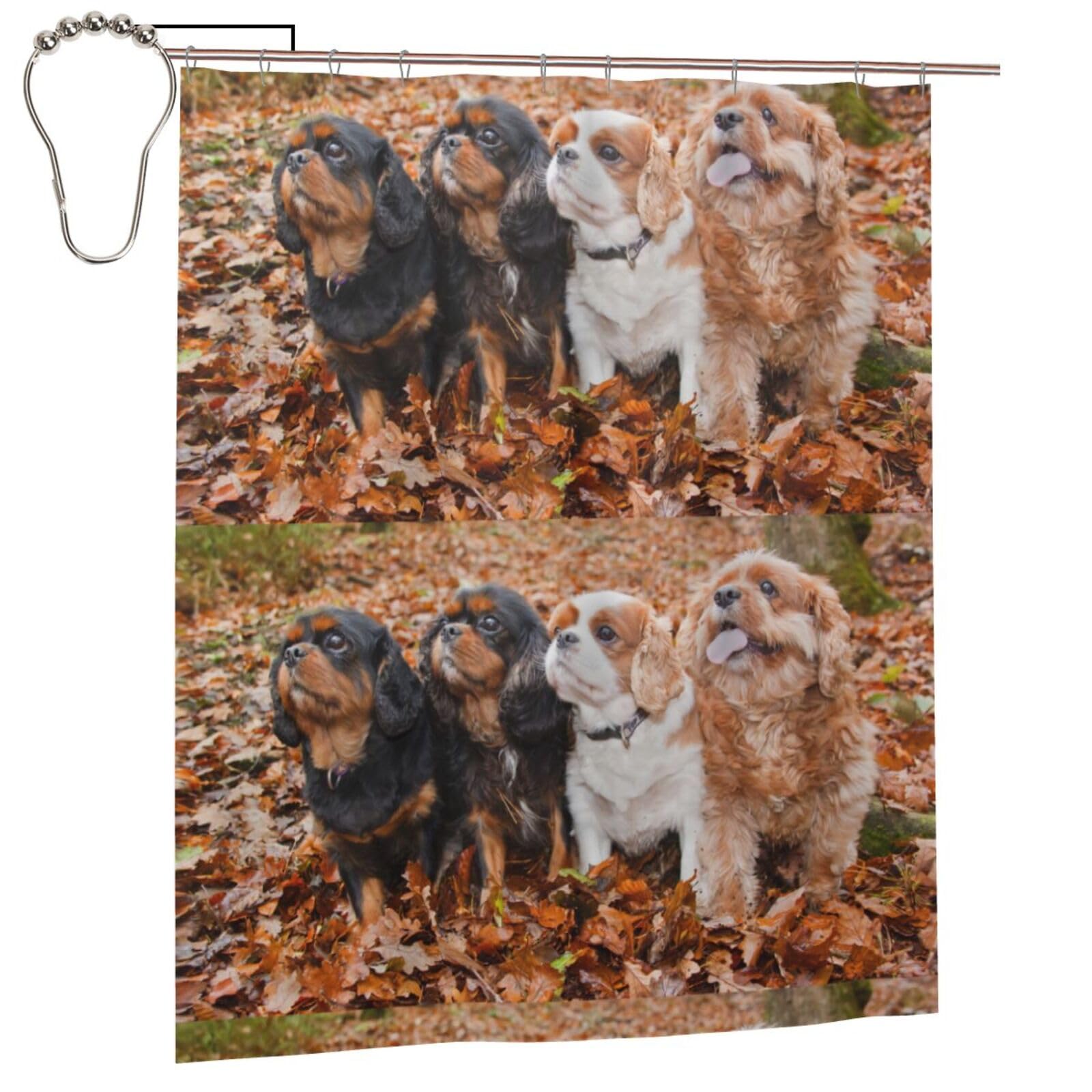 Egomed As Picture Shower Curtain 60X72 Inch,Bathroom Decor Waterproof Fabric Shower Curtains With Hooks,Cavalier King Charles Spaniel Autumn Puppies
