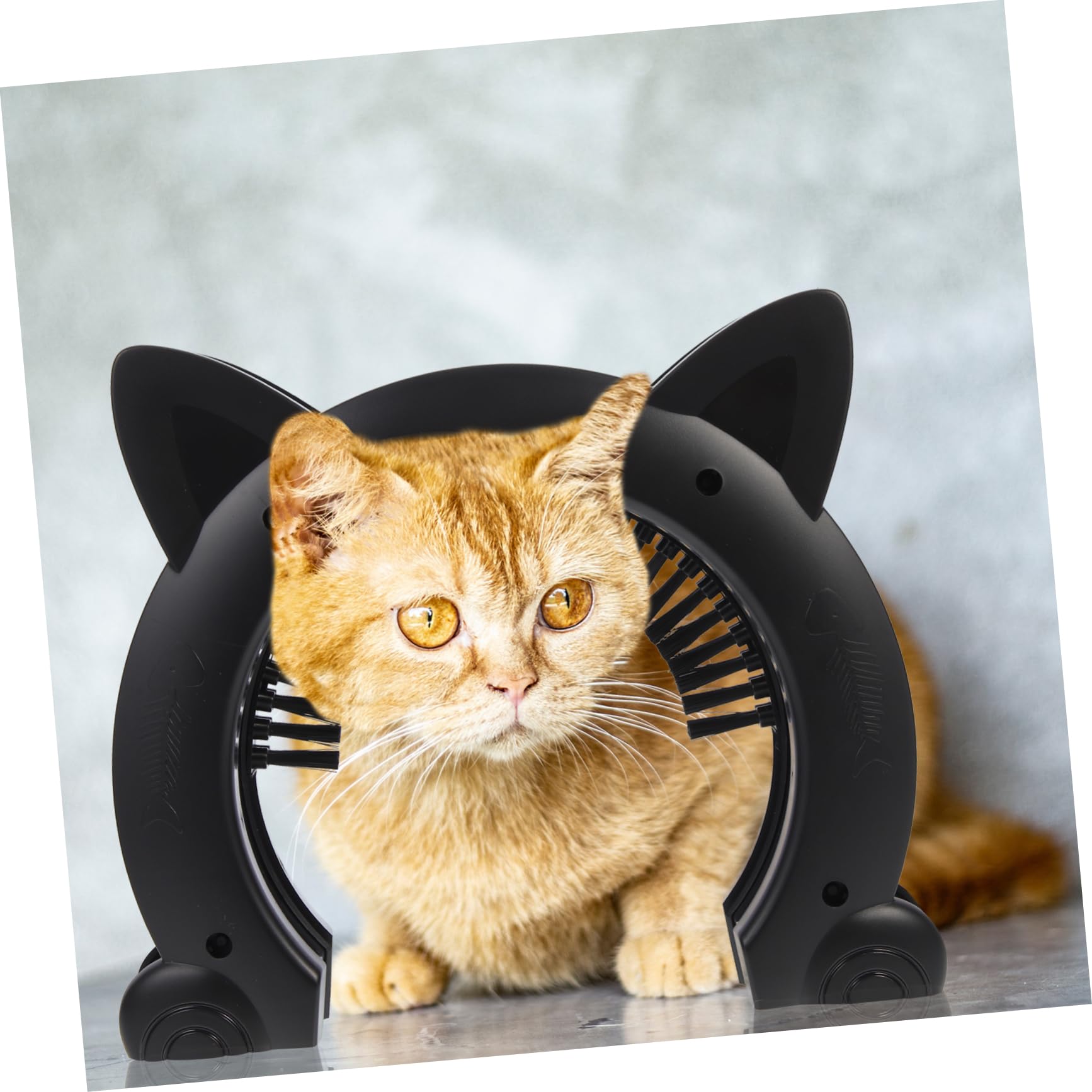 GALPADA Katzenklappe Katzen Haustiertür mit Bürstendesign ABS Katzen und Hundeklappe für Innentüren Ermöglicht und Auslass