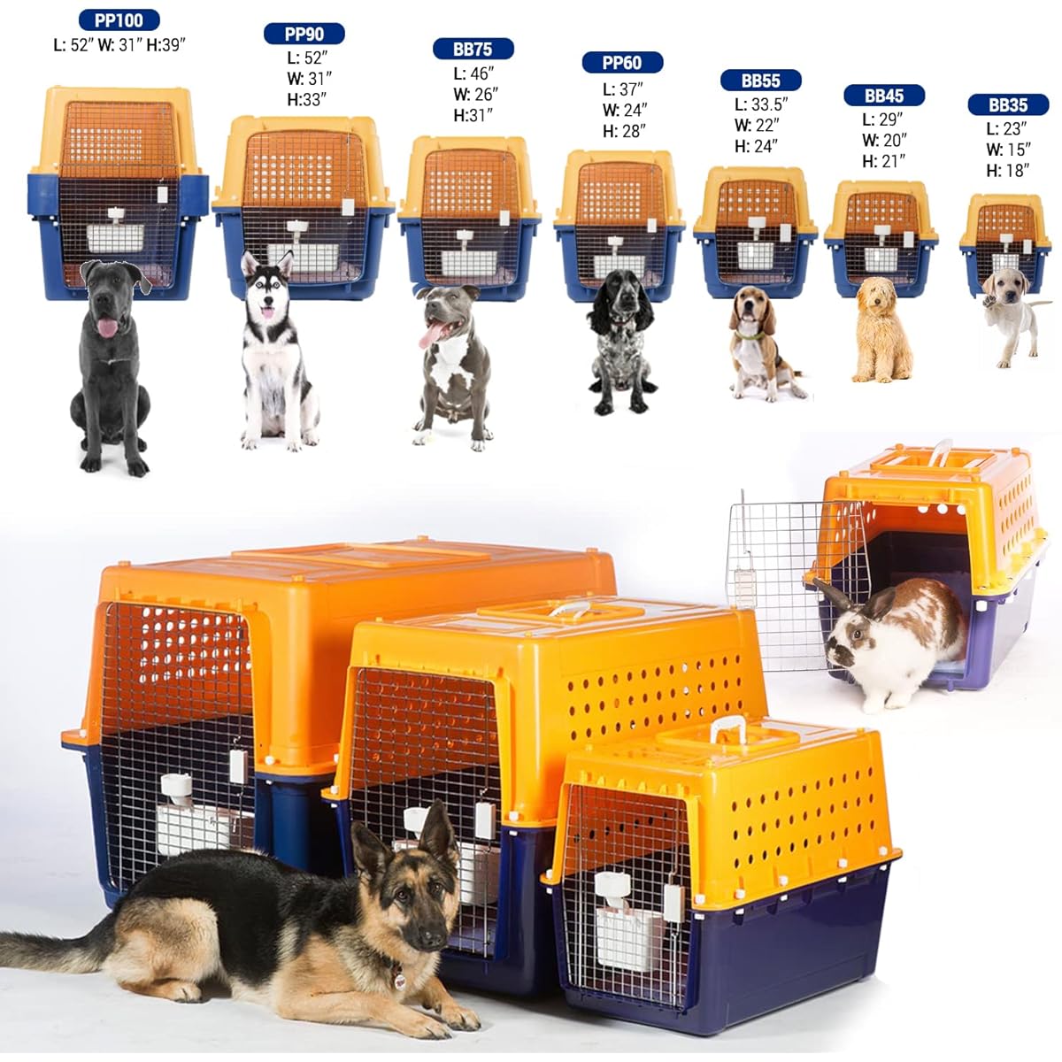 Airline Approved Dog Travel Crate Sizes Airline Approved Medium