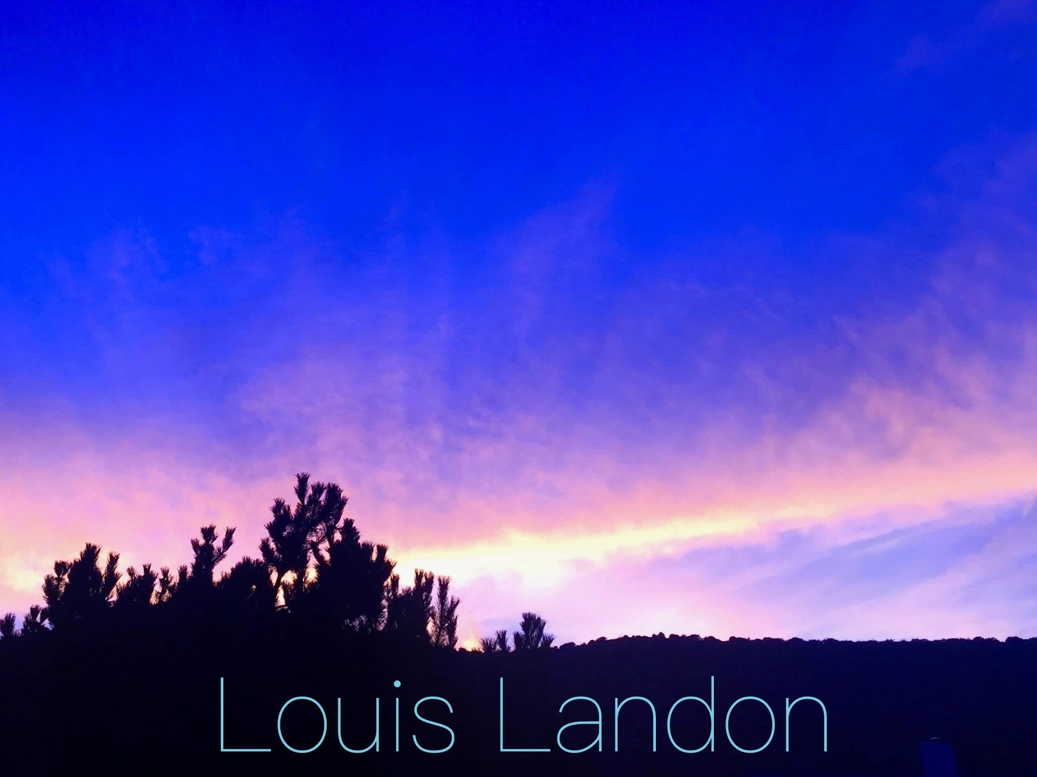 Louis Landon