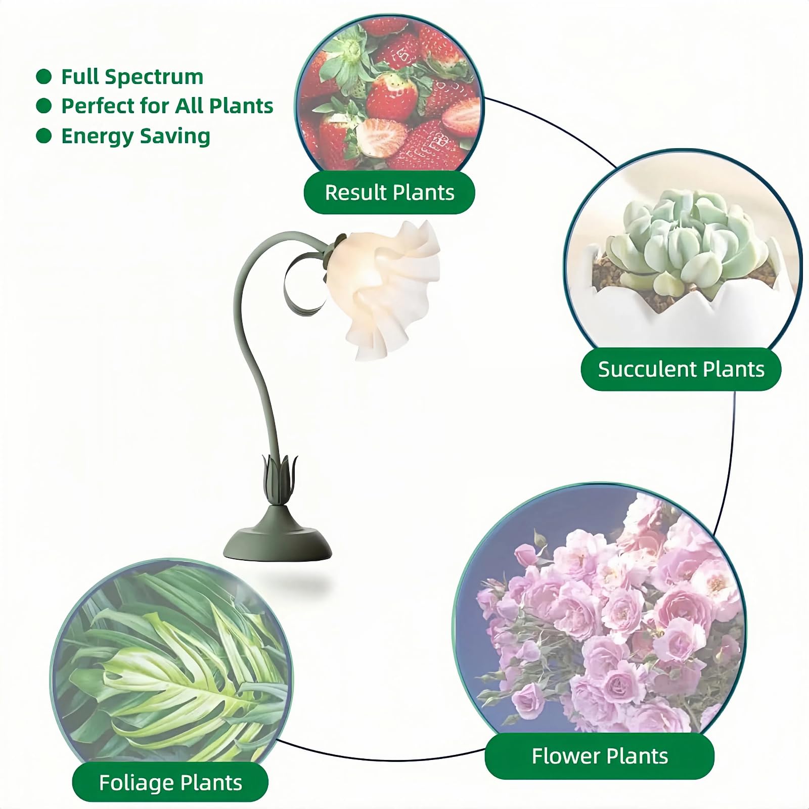 Luz de cultivo de mesa para plantas de interior, luz decorativa de escritorio para suculentas, cactus bonsái, luces de cultivo de escritorio ajustables con base, bonita lámpara de cultivo de oficina