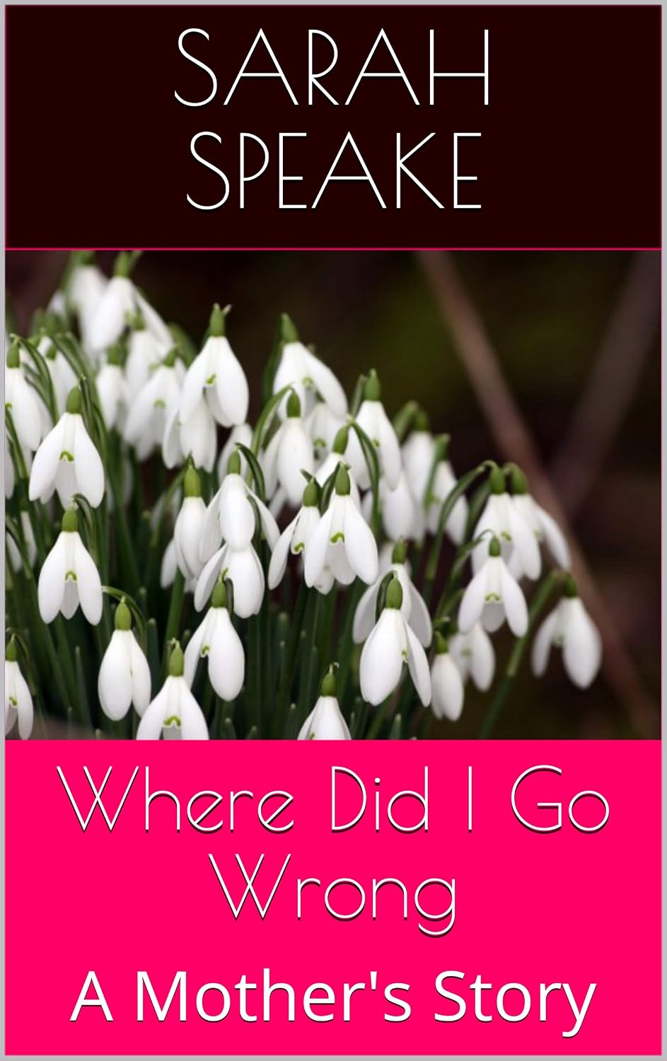 Where did I go wrong – Sarah Speake 