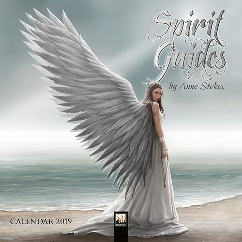 Spirit Guides by Anne Stokes mini wall calendar 2019 (Art Calendar)