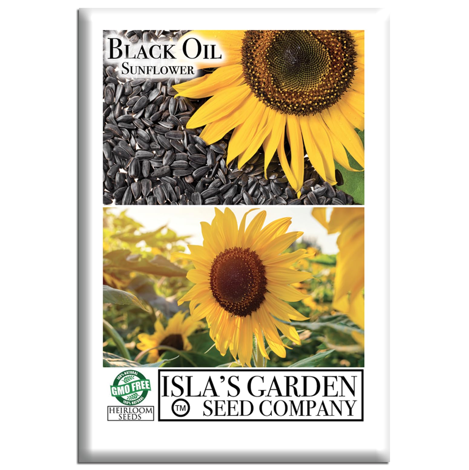 Black Oil Sunflower Seeds (Helianthus annuus) – 150+ Non GMO & Heirloom Seeds by Isla’s Garden Seeds, Tall Wildlife-Friendly Blooms for Bird Feeding & Summer Gardens, Ideal Gardeners’ Gift Idea