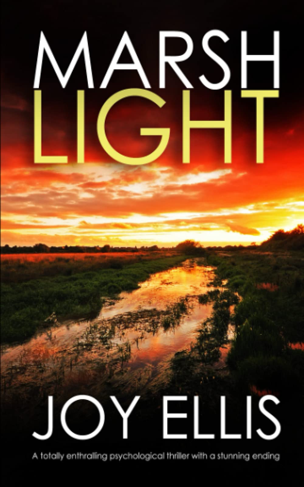MARSHLIGHT a totally gripping psychological thriller with a stunning twist (Detective Matt Ballard Mystery)