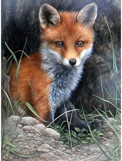 Lsdakoop 5d Diy Diamant Peinture Decoration De La Maison Solitaire Renard Bebe Diamant Broderie Carre Strass Artisanat Art Peinture 11 8x15 8inch Amazon Fr Cuisine Et Maison