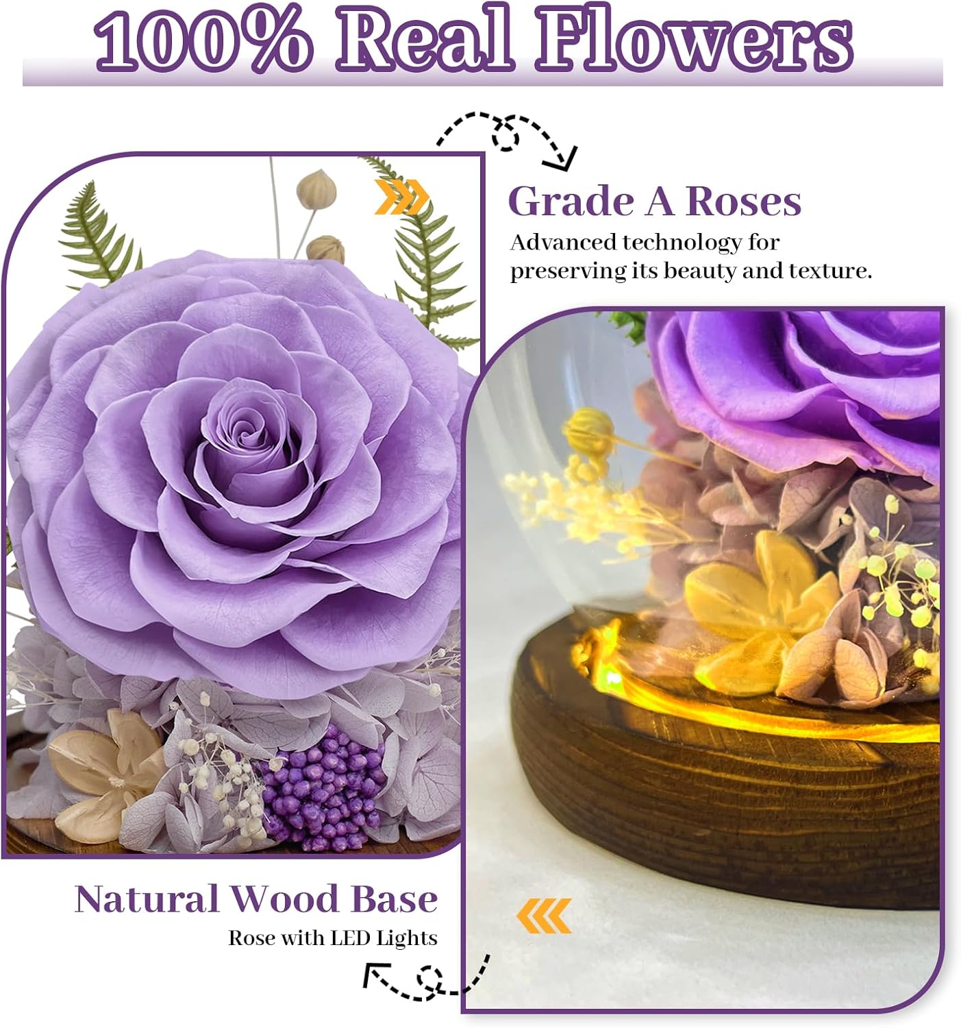 Preserved Rose Forever Flower in Glass - Birthday Gifts for Women Mom, Real Flowers for Delivery Prime | Rose Gift for Grandma Wife Sister Friend (Purple) - Image 5