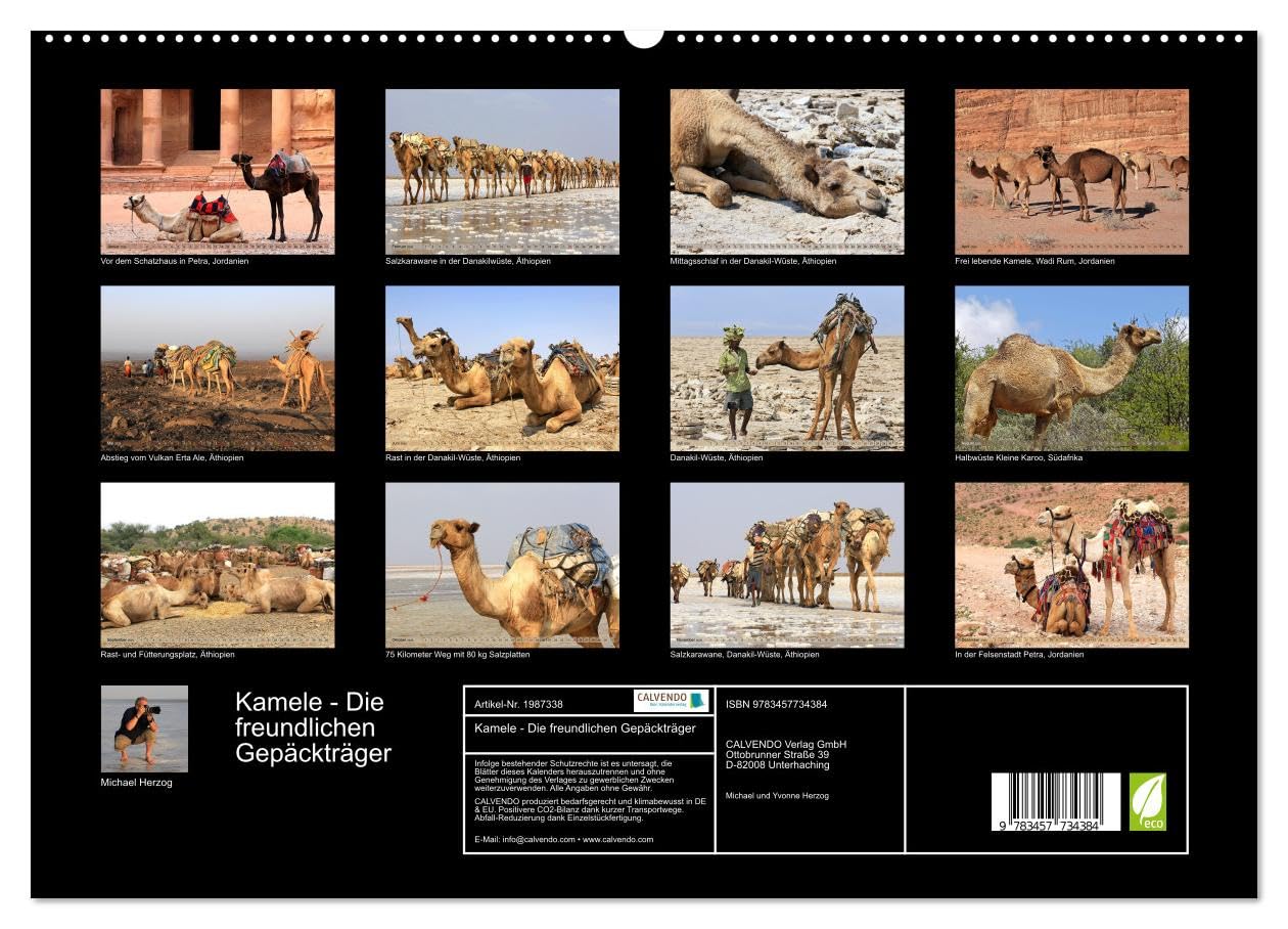 Kamele - Die freundlichen Gepäckträger (hochwertiger Premium Wandkalender 2026 DIN A2 quer), Kunstdruck in Hochglanz: Ein entbehrungsreiches Leben in Wüsten (CALVENDO Tiere)