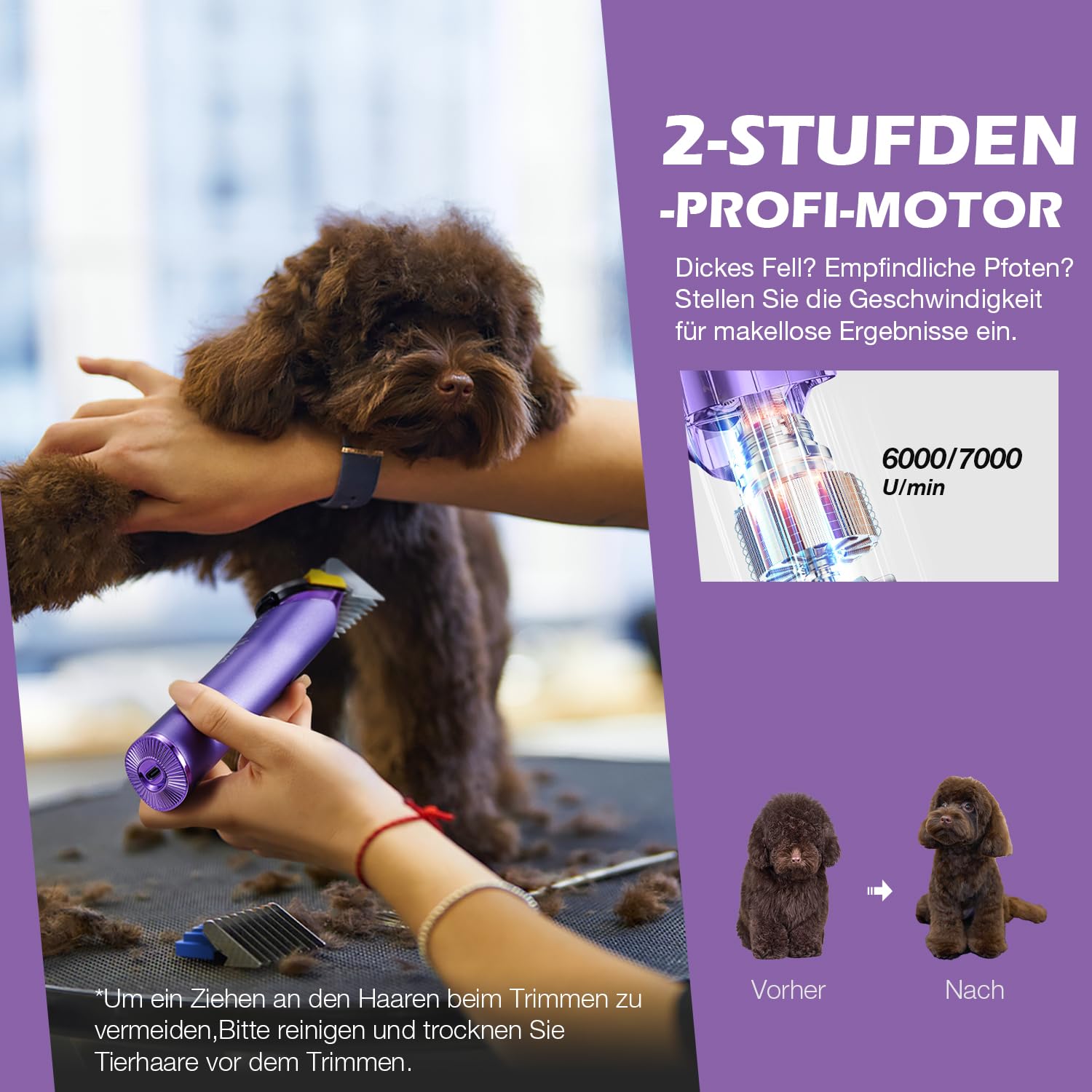 Hundeschermaschine Profi mit Ersatzklinge,5-in-1 Abnehmbare Klinge Schermaschine Hund mit 2 Geschwindigkeits,Schermaschine für Hunde, Katzen, Pferde mit Metall-Aufsteckkämme,Lila