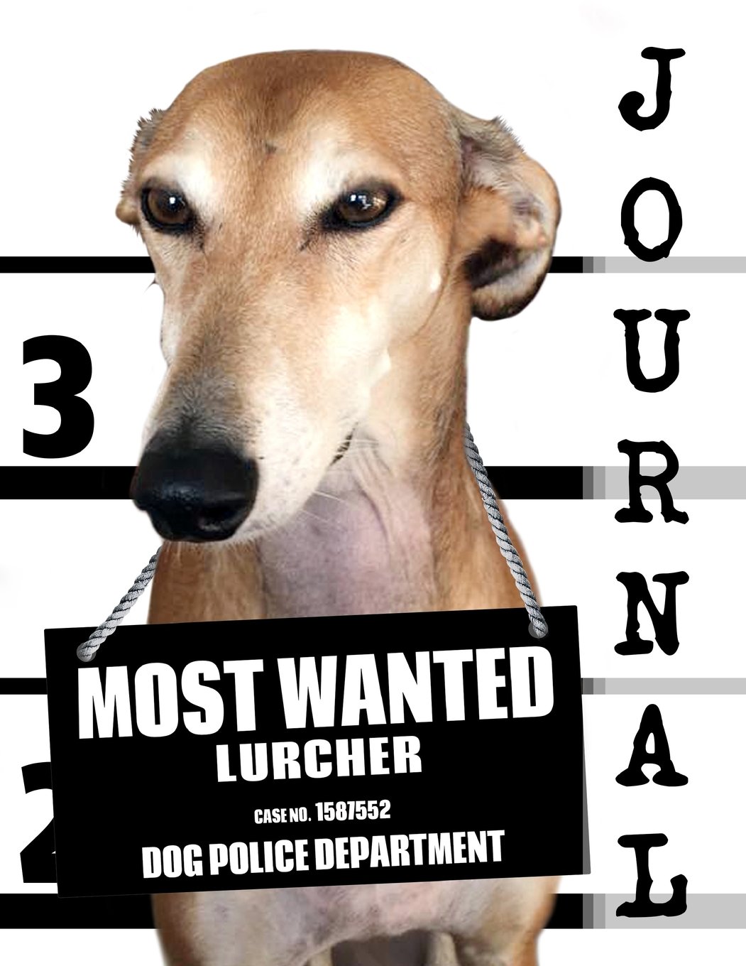 Most Wanted Lurcher Journal: Diary Notebook: Volume 48 (Dog Journal Notebook Diaries)