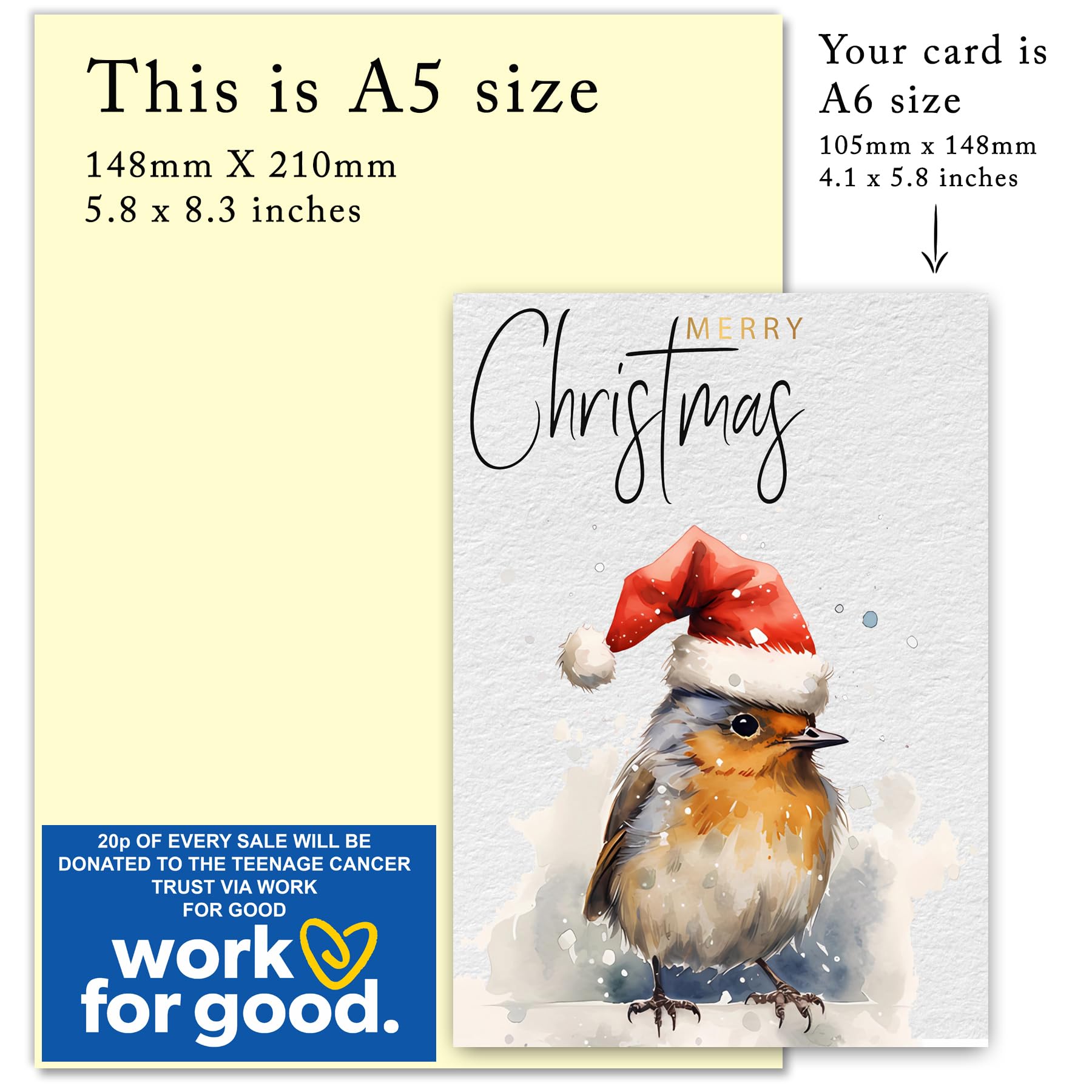 Christmas Cards Boxed Christmas Cards Pack of 30 Multipack Thick Xmas Cards Beautiful Robin Designs For Friends Family With Red Envelopes - Image 4
