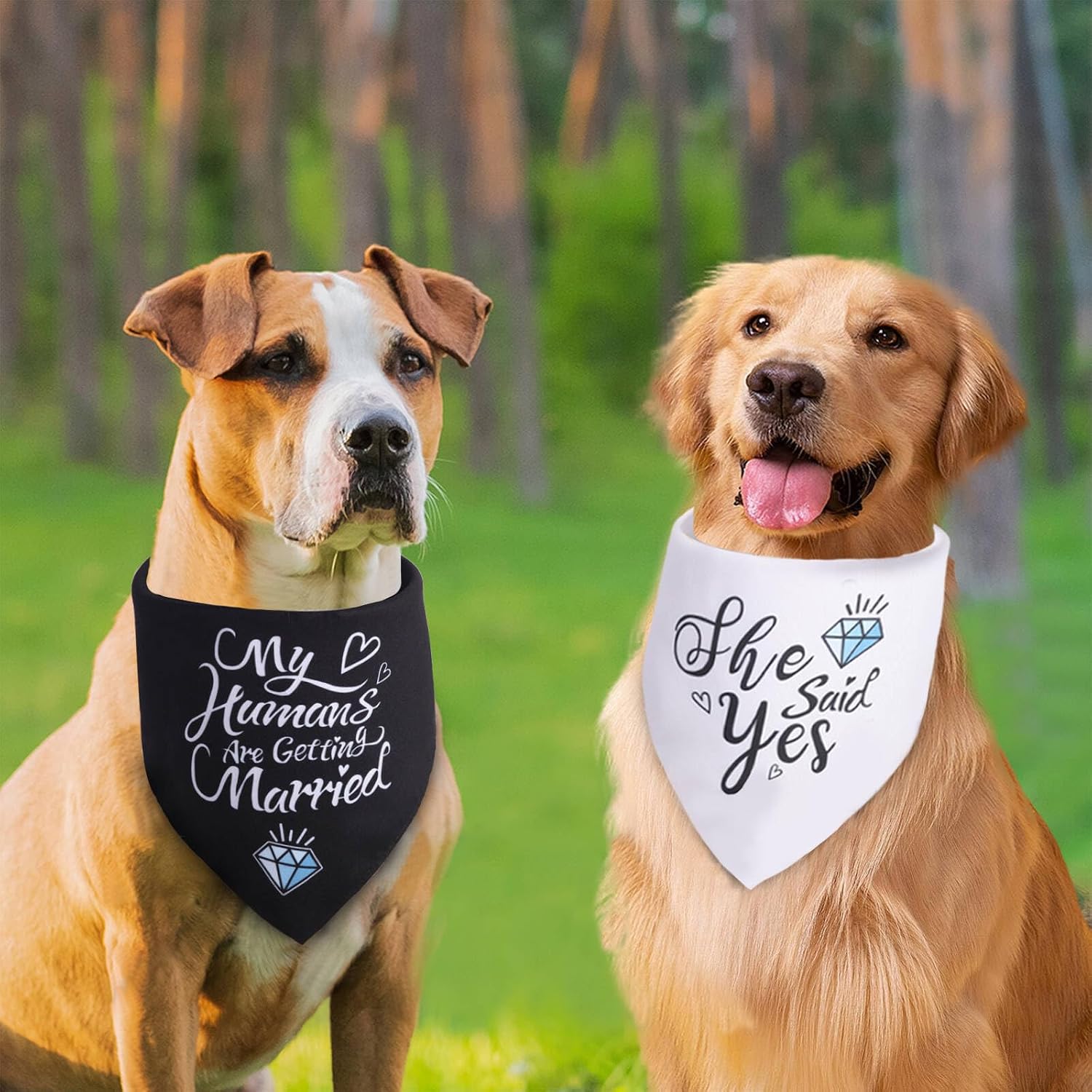 My Humans are Getting Married Dog Bandana Small, Wedding Stuff Pet Scarf image 4