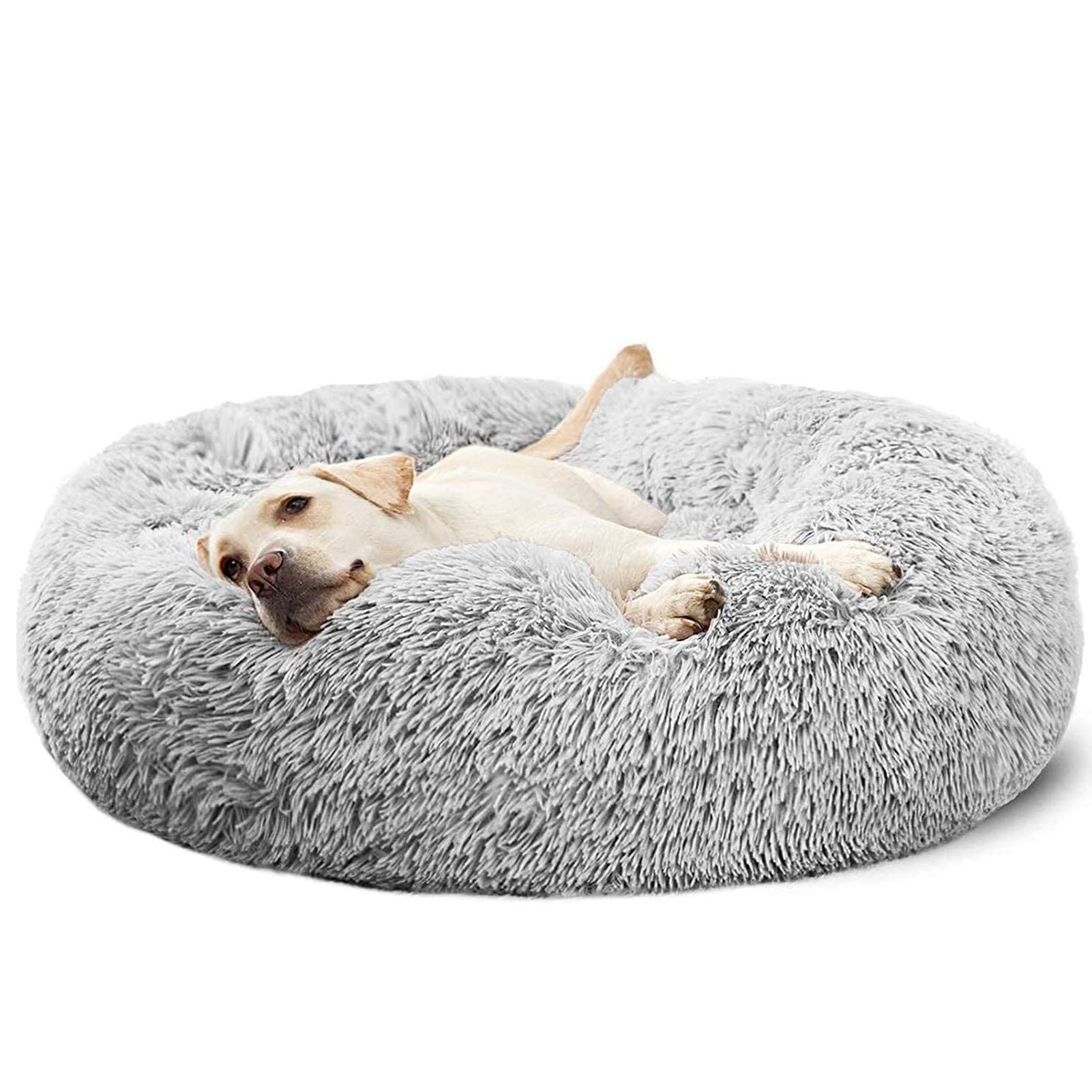 pet donut bed