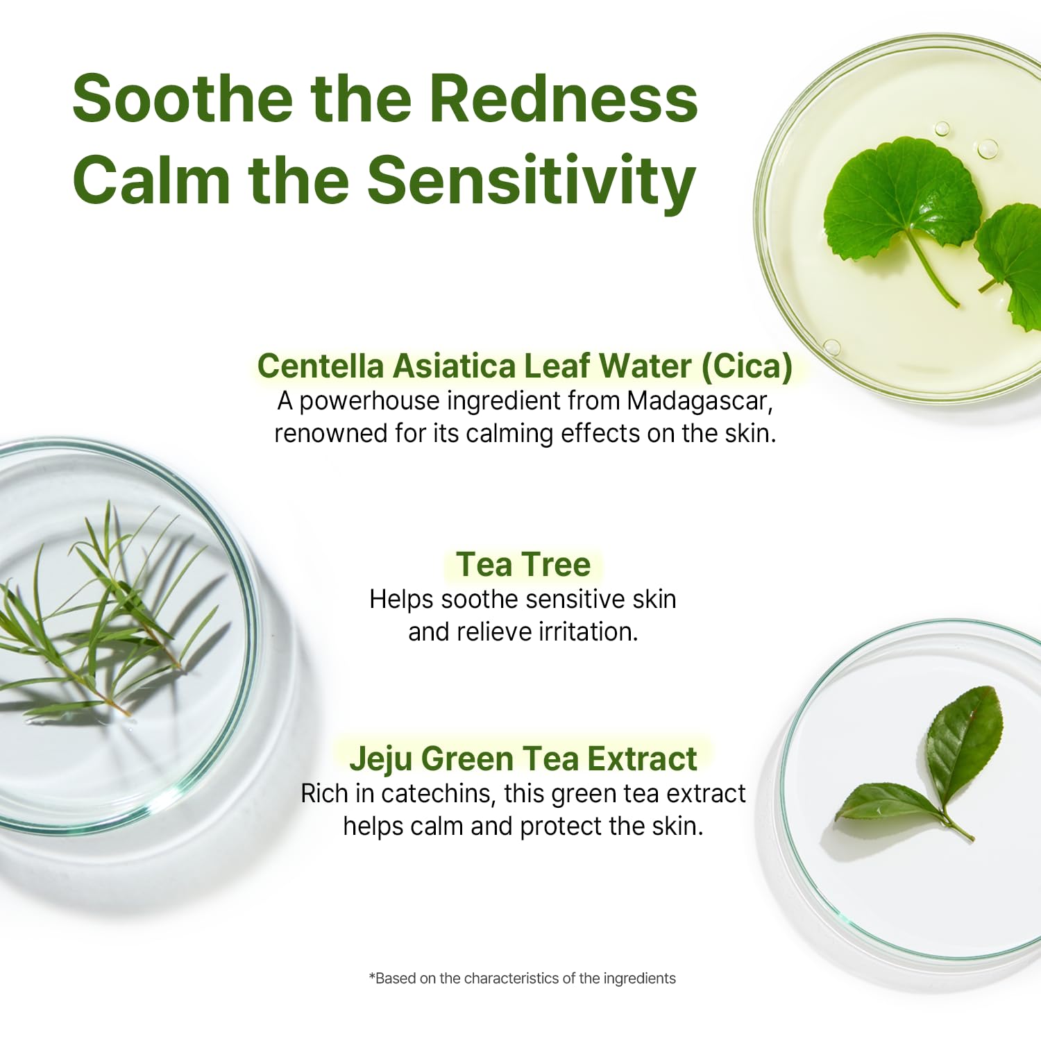 AVCA Cica Tea Tree Calming Serum 100ml(3.38 fl. oz) – Soothing for Redness & Sensitive, Blemish-Prone Skin, Oil Control,Korean Skincare - Image 4