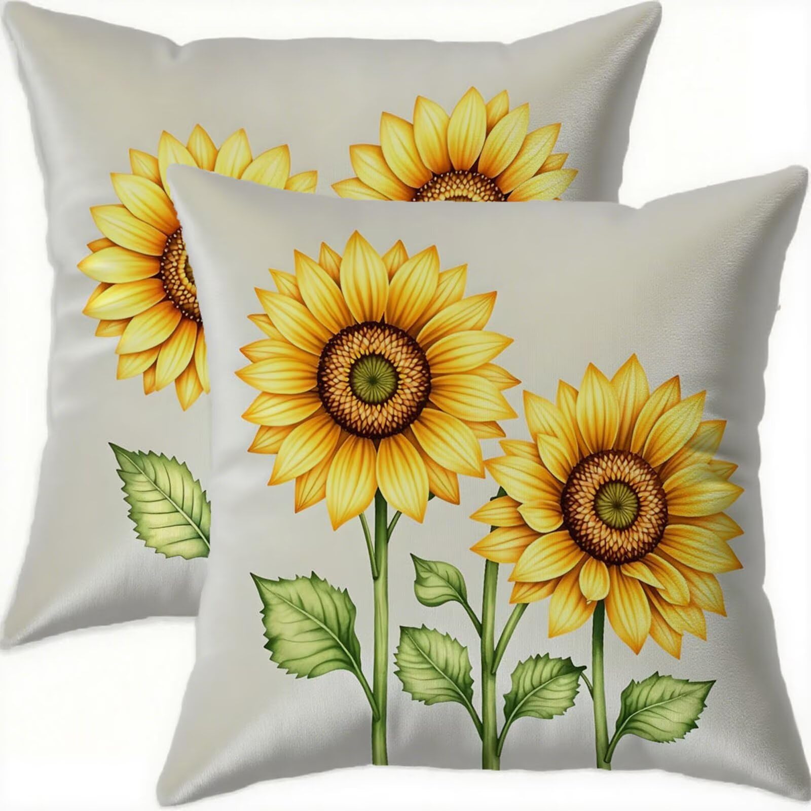 Housse coussin 60x60cm imperméable en velours pour canapé et balcon | Lot de 2