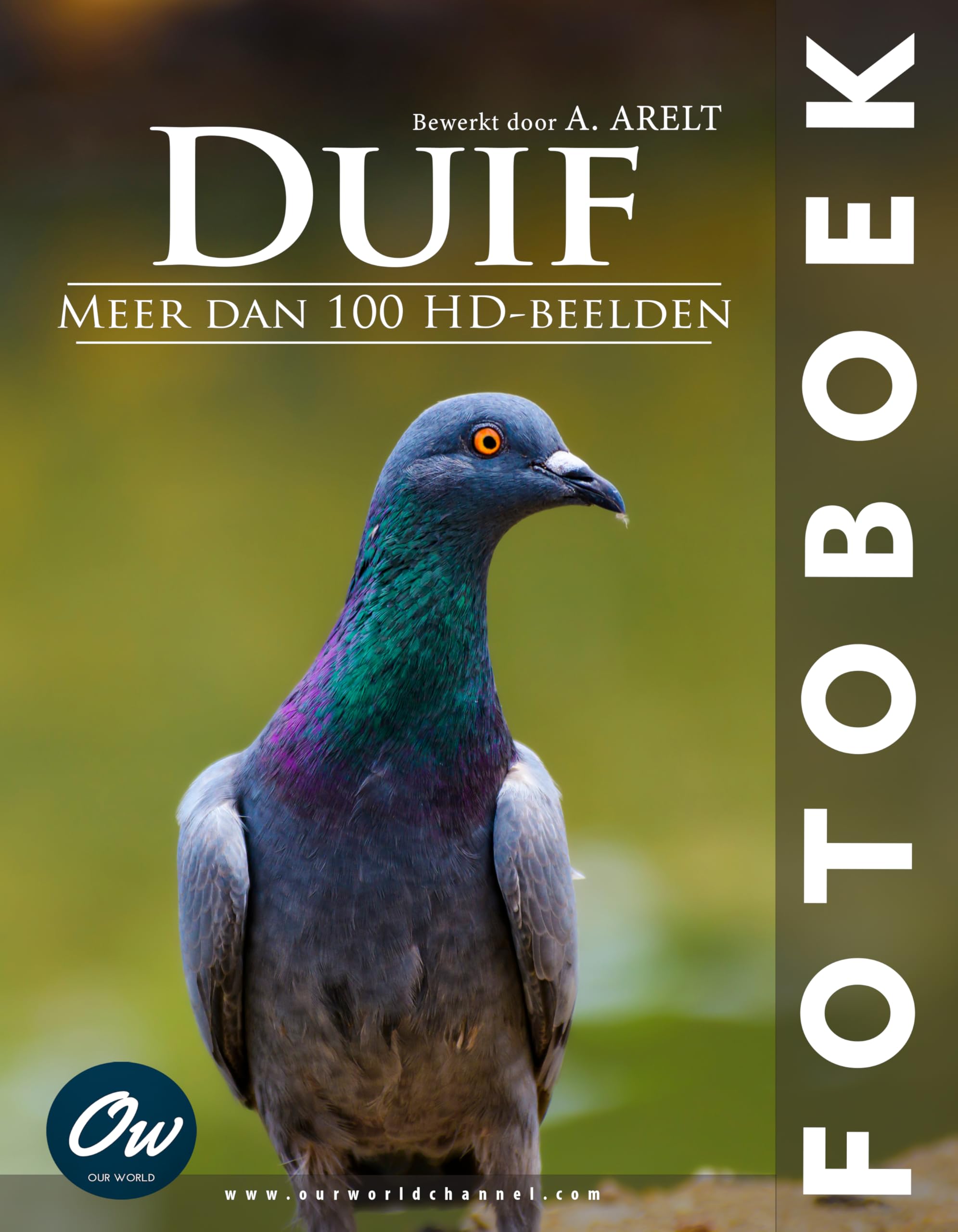 Livre photo Duif pour sublimer votre table basse et vos moments de détente