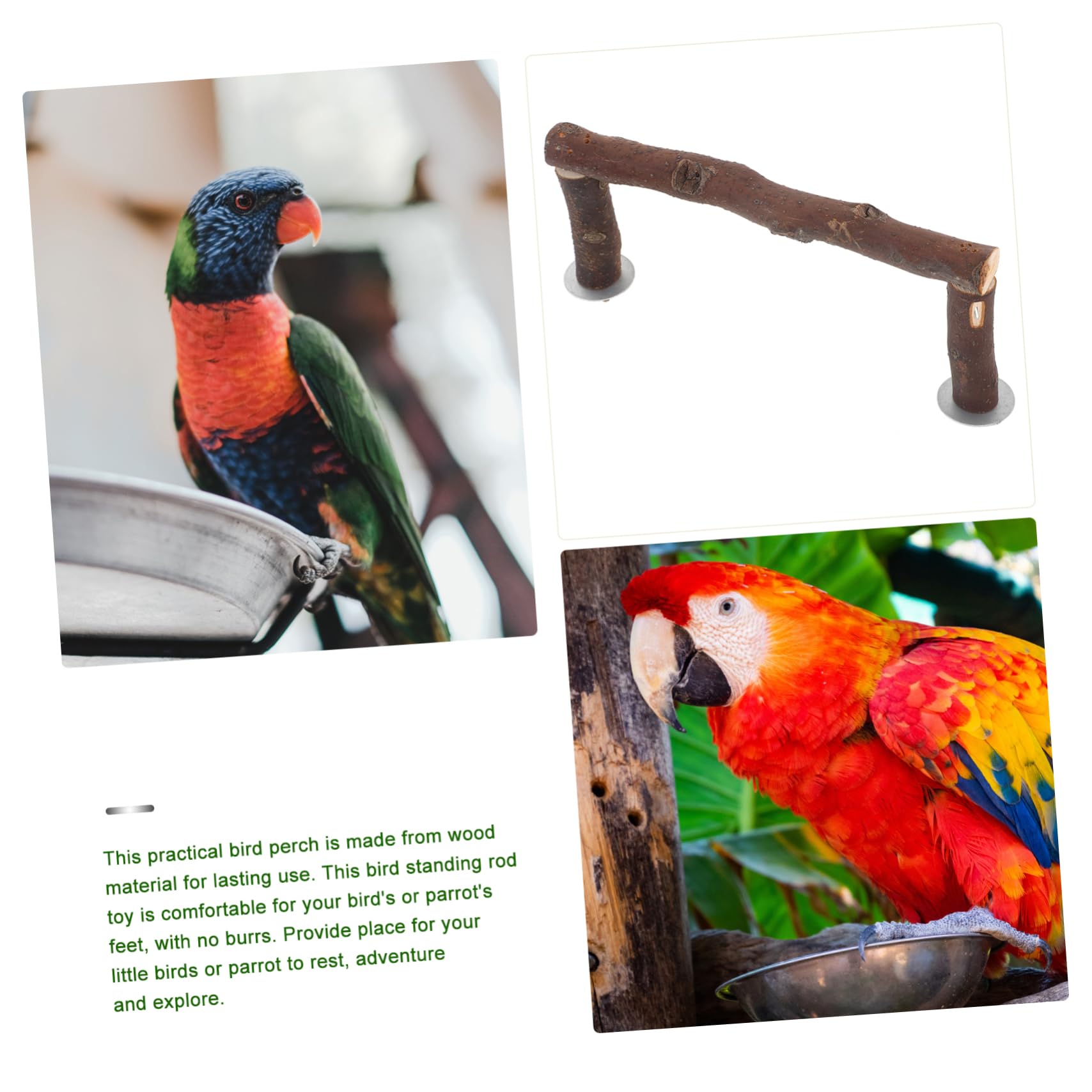 POPETPOP 5pièces Perchoir Naturel pour Oiseaux Support Activité pour Perroquets Et Oiseaux De Compagnie Accessoire De pour Multi-usages