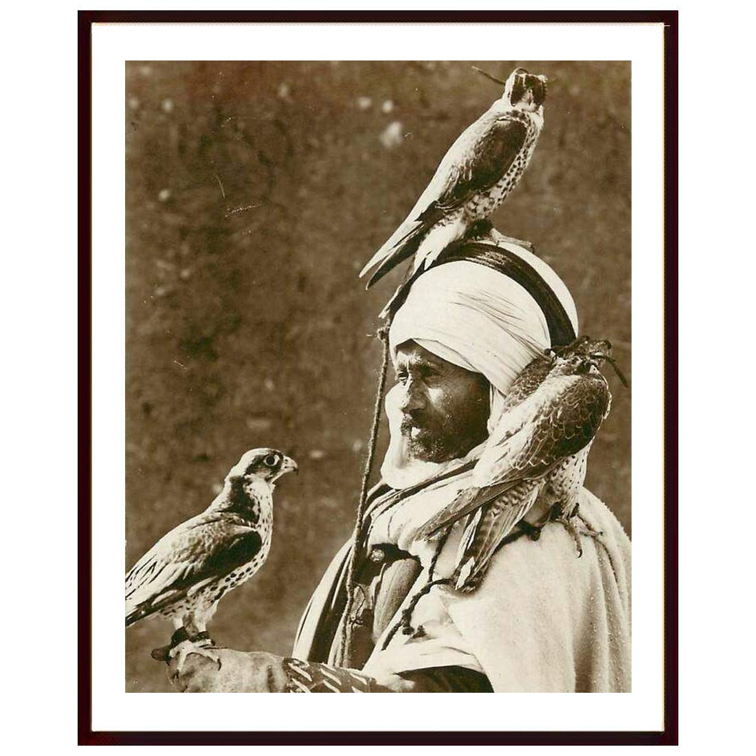 Art Arab falconry in Algeria Falcon Bird Photo frame | Matt Finished Print | Synthetic Wood frame without Glass | Frame for Living Room, Kitchen,Office,Restaurant Decoration | Gifting Purpose | Size(14x17)