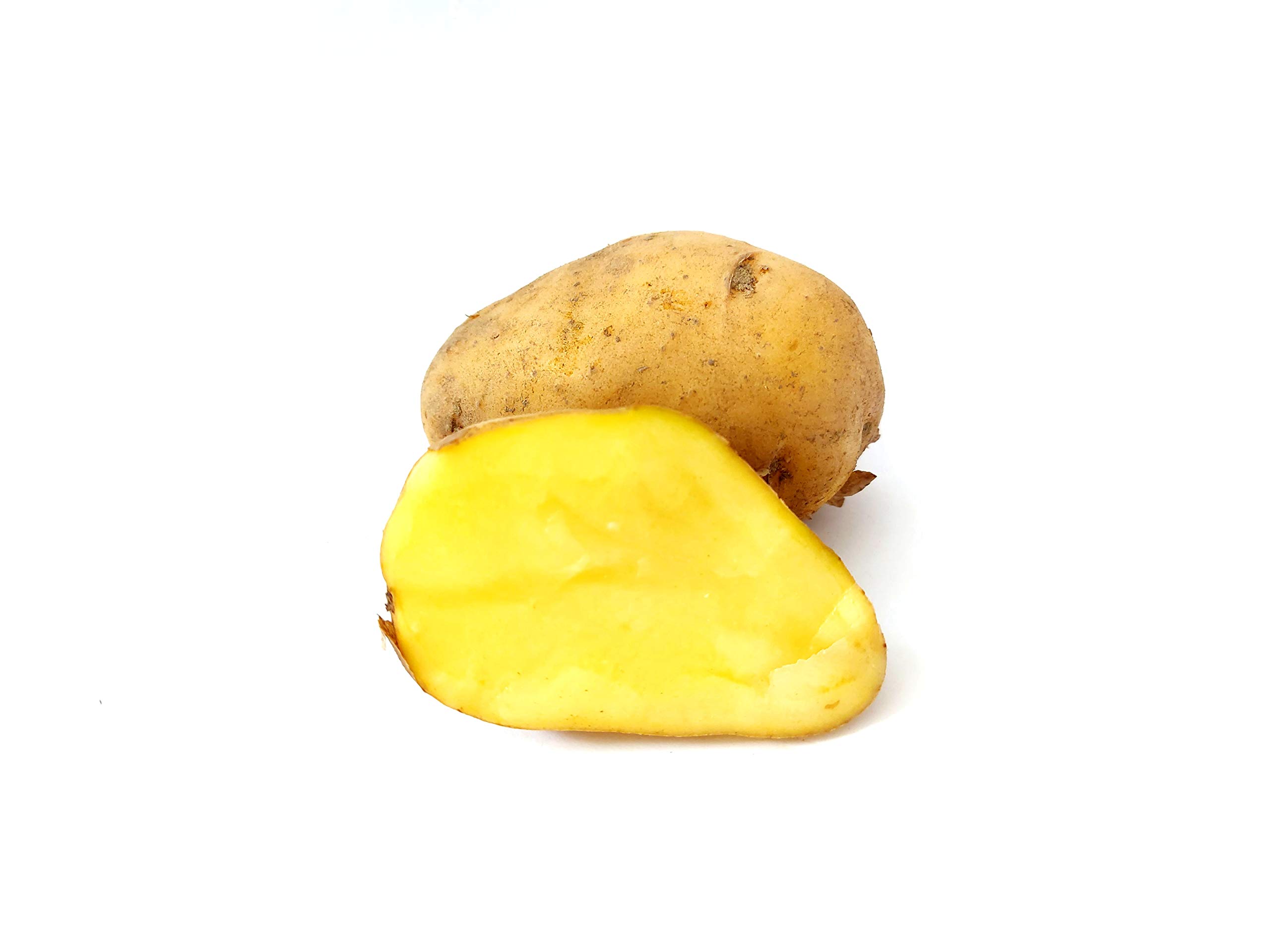 Frische Sieglinde festkochende Speisekartoffeln Kartoffel 10 KG Ernte 2025 aus Bayern festkochend Salatkartoffel zum Grillen für Kartoffelsalat Pellkartoffeln Bratkartoffeln Pommes Frites