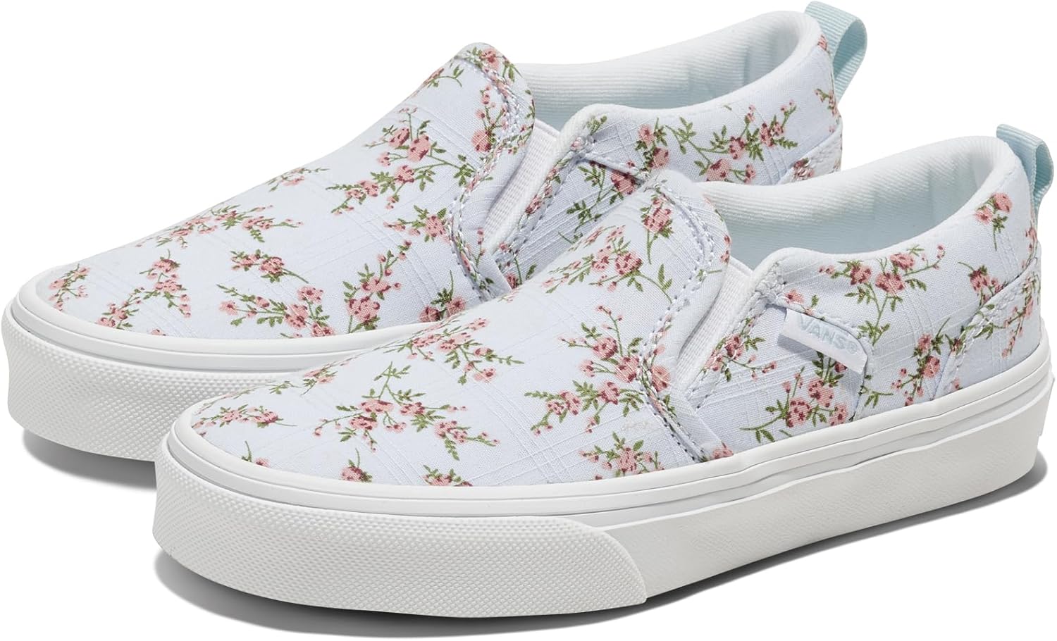 Vans Kids' Asher Slip-on Shoe