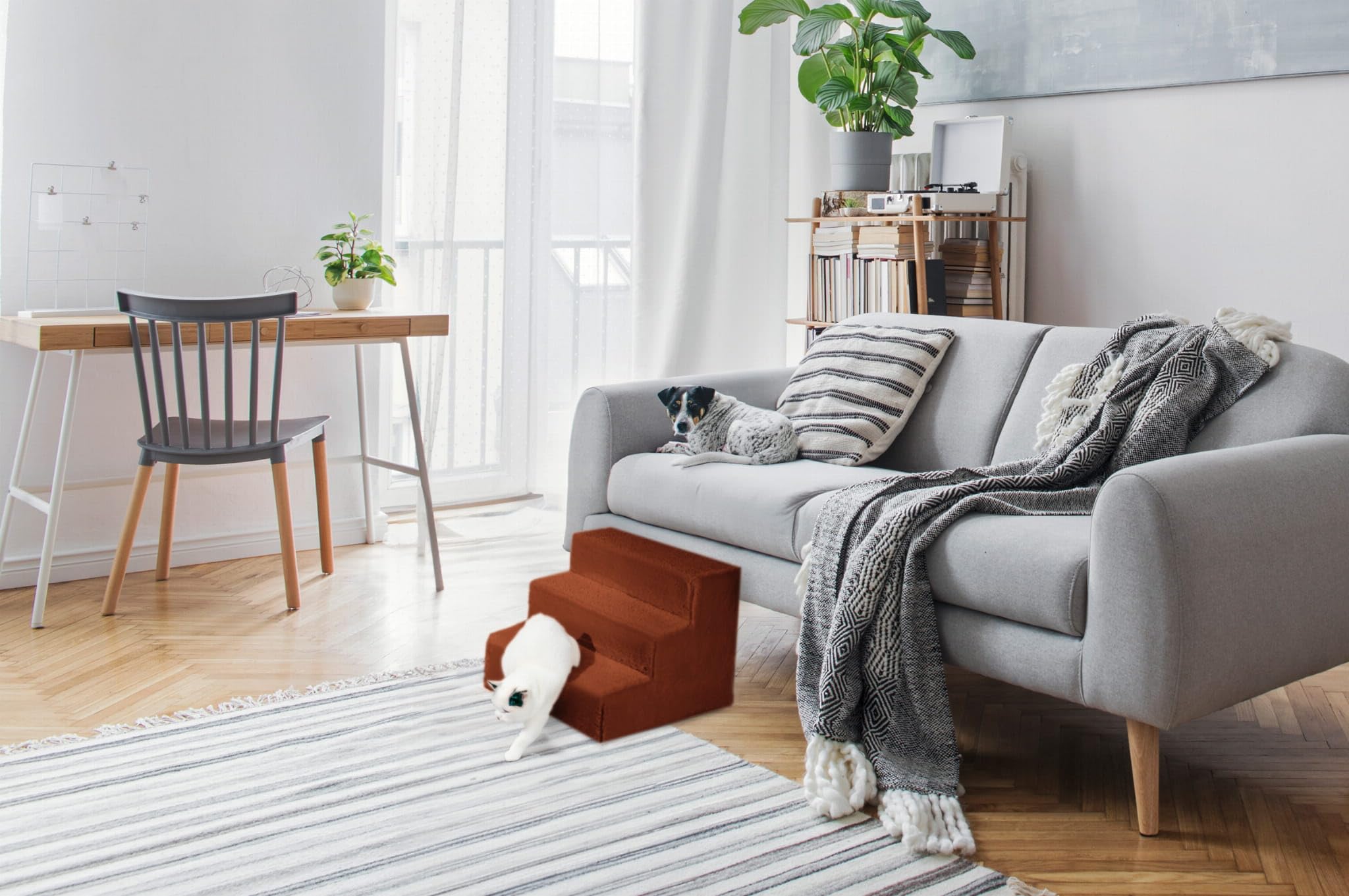 MG Design Escalera para Mascotas de Naranja – 3 peldaños – Marco de Madera Estable, Ligera y cómoda, para sofá y Cama, para Perros y Gatos