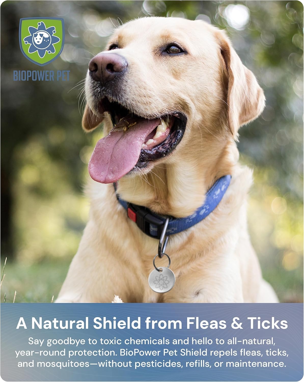 Natural Flea & Tick Repellent Collar Tag for Dogs & Cats – BioPower Pet Shield – Safe for Pets When Used as Directed – Lasts 1 Full Year - Regular Tag (2 Pack) - image 2