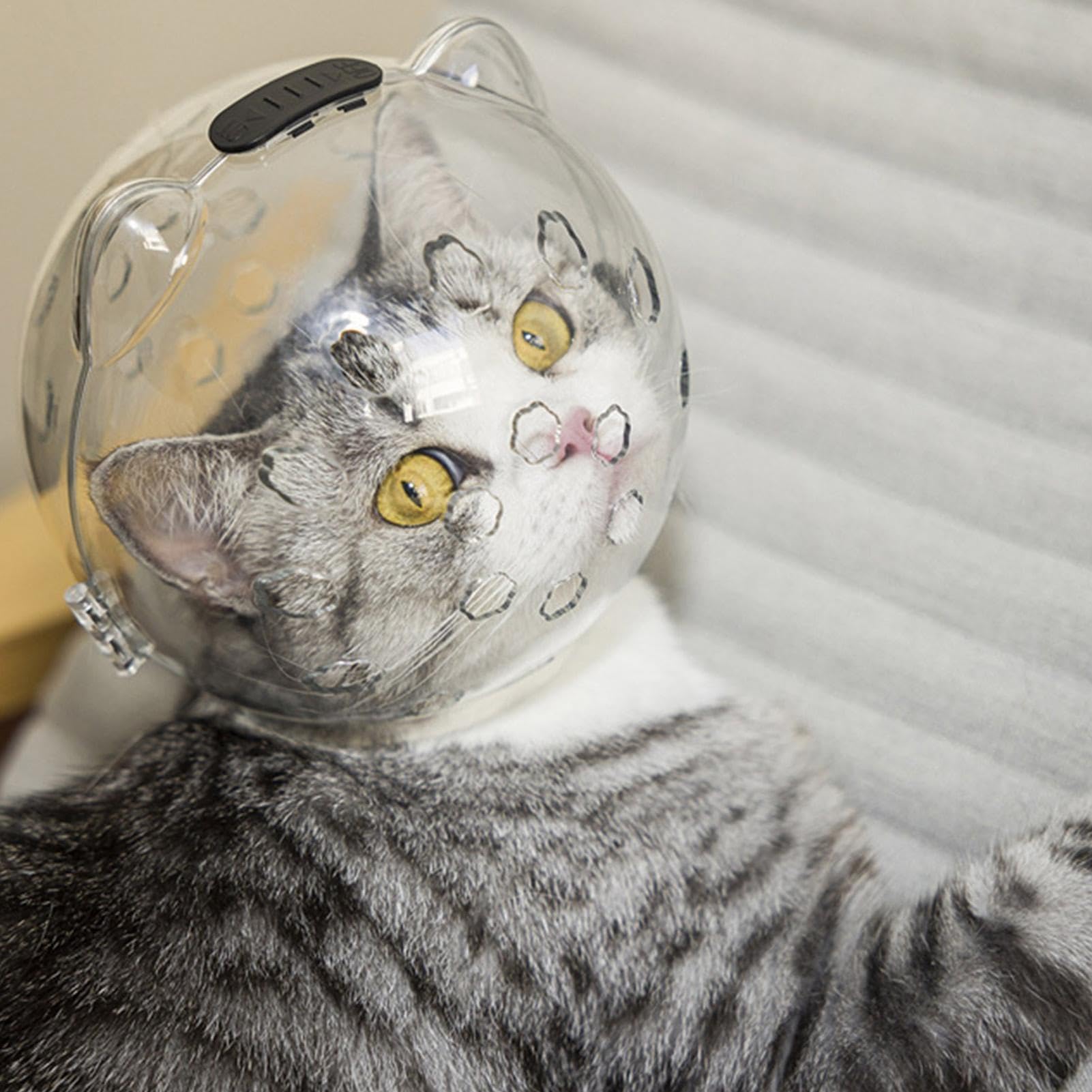 Cat Bite Guard - Anti Bite Cat Mouth Guard, Ventilated Cat Protection Gear | Clear Cat Calming Muzzle Nail Trimming Cat Face Shield, Adjustable Pet Grooming Protective Hood for Handling Difficult Cat