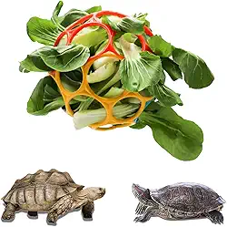 Besimple Brinquedo de bola de tartaruga, alimentador de feno de tartaruga, bola de alimentação, bola de grama, suporte de alimentador de frutas e legumes, brinquedo de forrageamento para animais