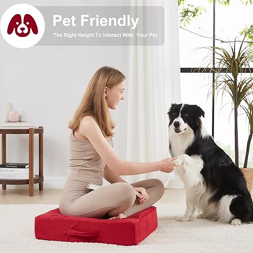 Miniatura 4 de 2 almohadas de espuma de alta densidad para el suelo, almohadas grandes mejoradas para adultos, cojín de suelo para exteriores con funda suave