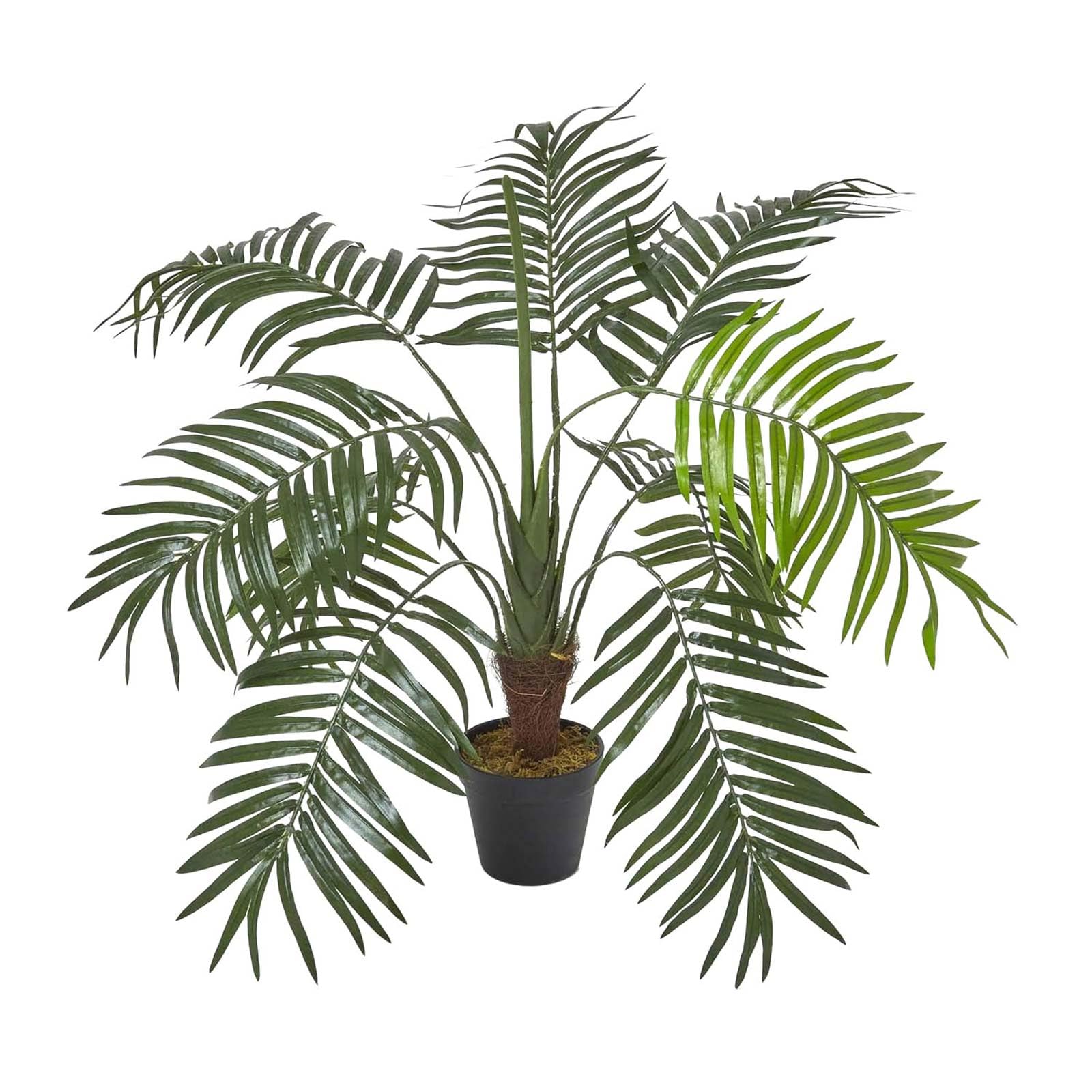 Homescapes Green Mini Palm Tree Artificial Plant with Pot, 70 cm - Green
