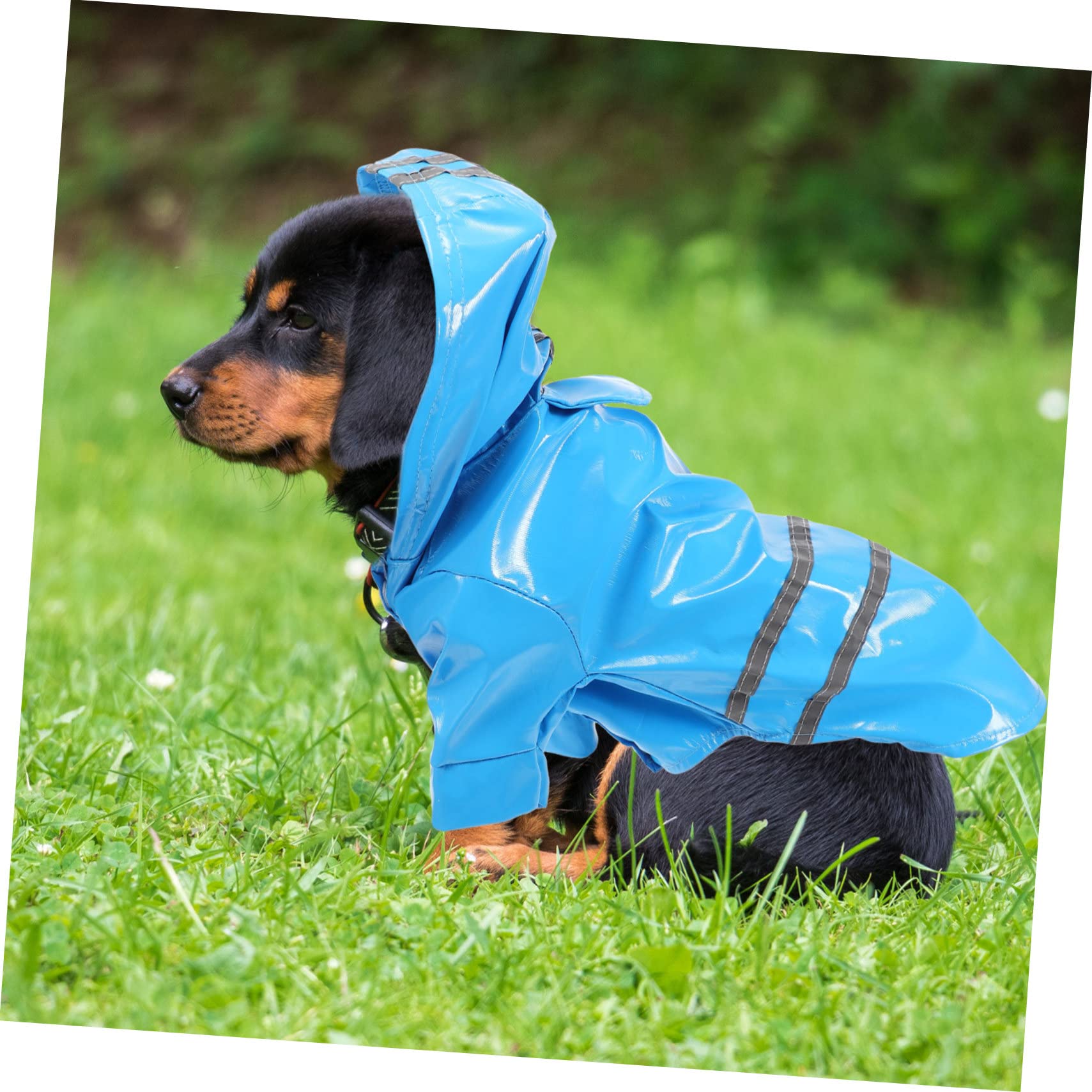 Manteaux de Pluie imperméables pour Chien, imperméable pour Chien, 4 pièces, imperméable pour Petit Chien, vêtements pour Chien, Veste de Pluie, imperméables po