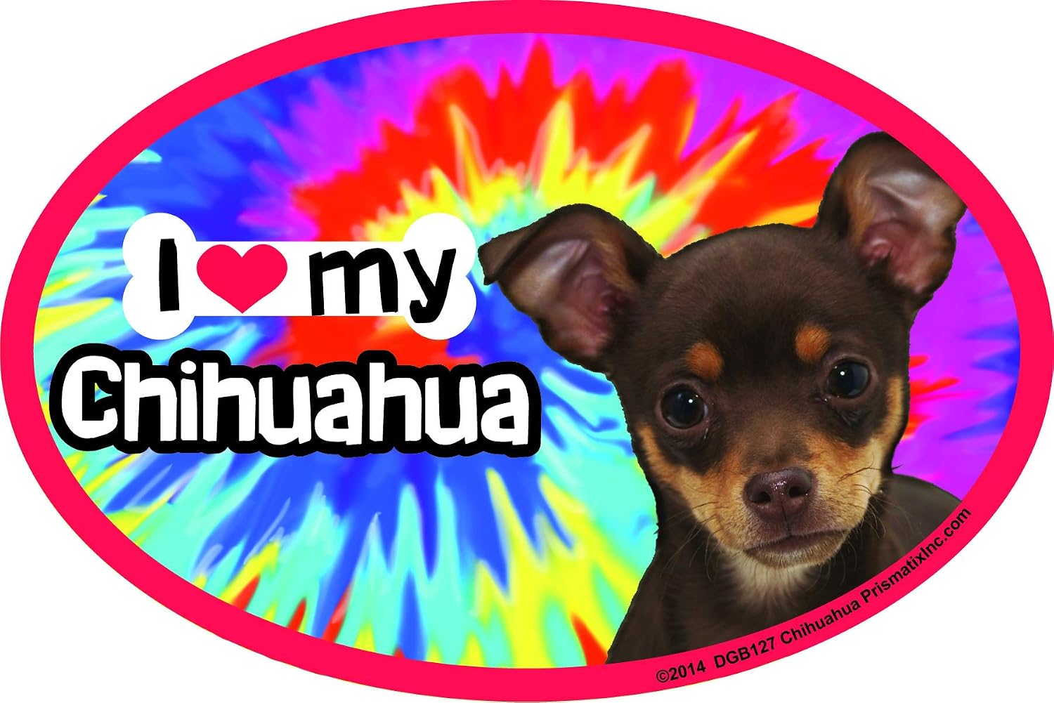 Chihuahua (Multi) Car Magnets: Spoiled Rotten Chihuahua (Multi) - Oval 6" x 4" Auto/ Truck/ Refrigerator/ Mailbox (Funny Car Decals, Dog Magnet, Chihuahua (Multi) image 2